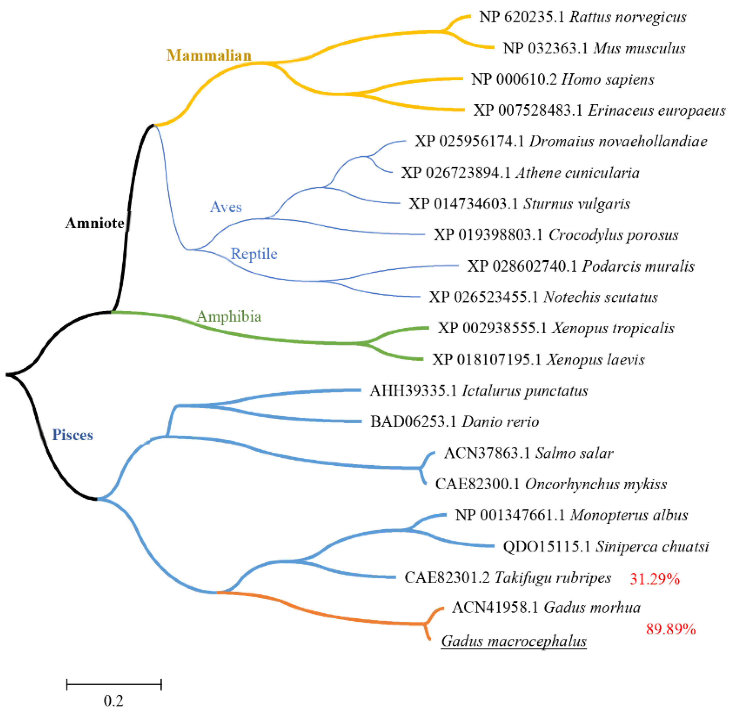 Viruses 14 02304 g002