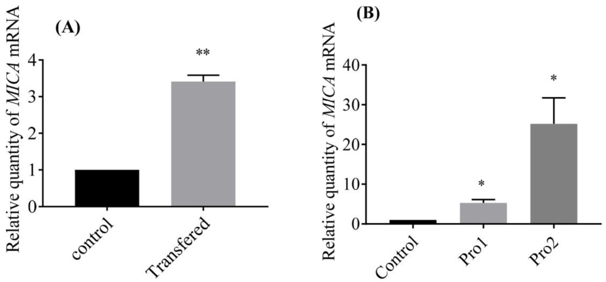 Viruses 14 02304 g006