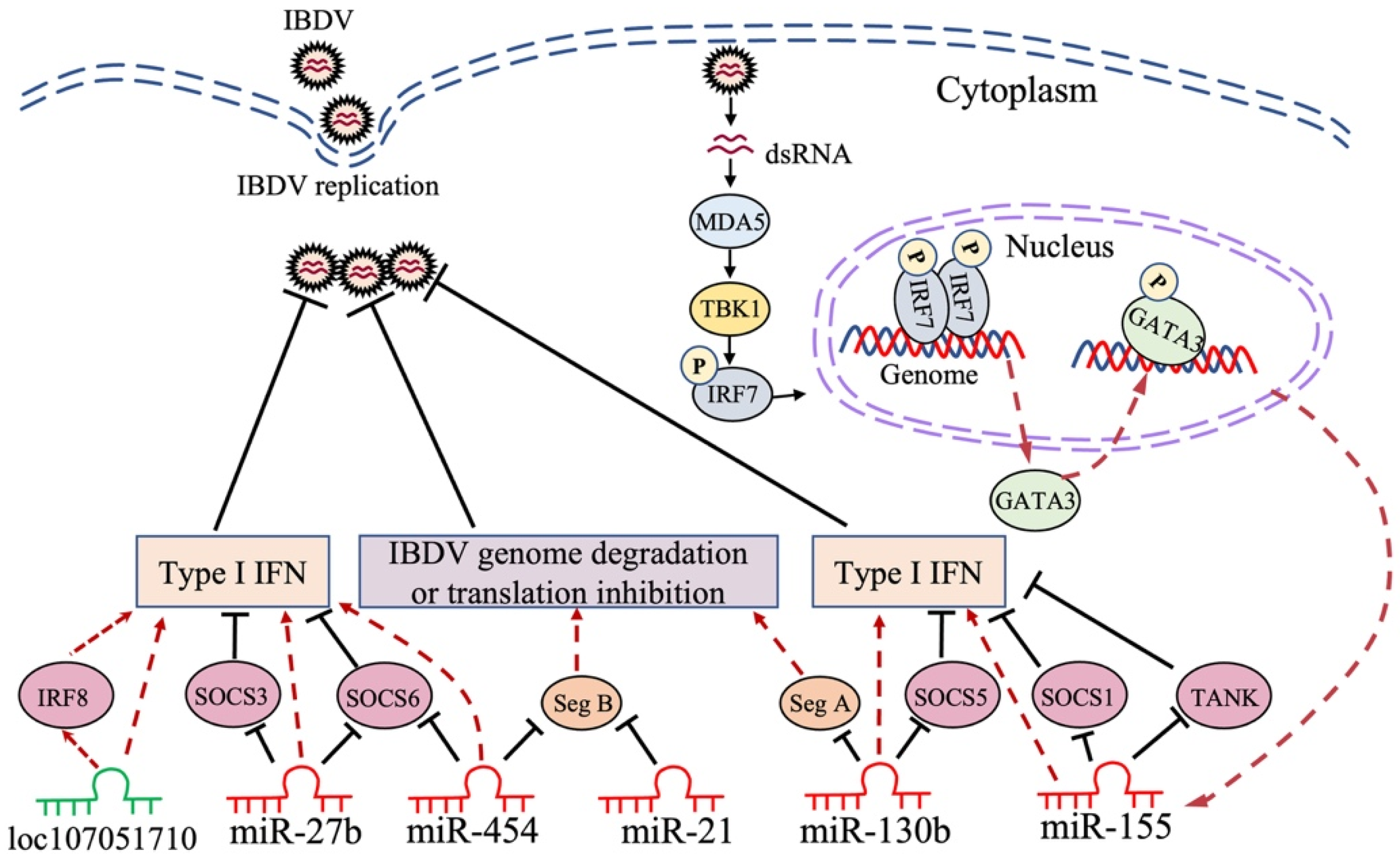 Viruses 14 02309 g002