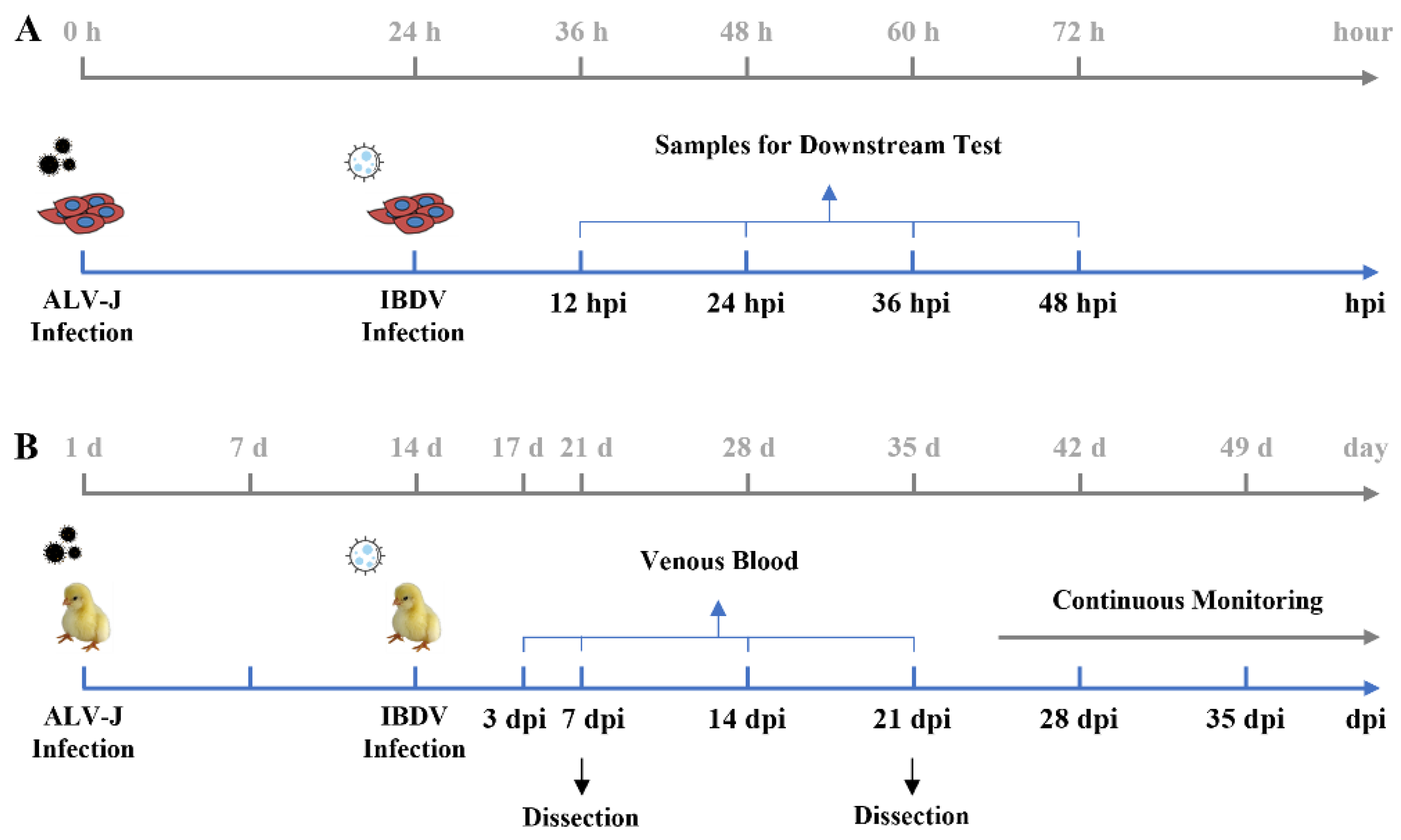 Viruses 14 02312 g001