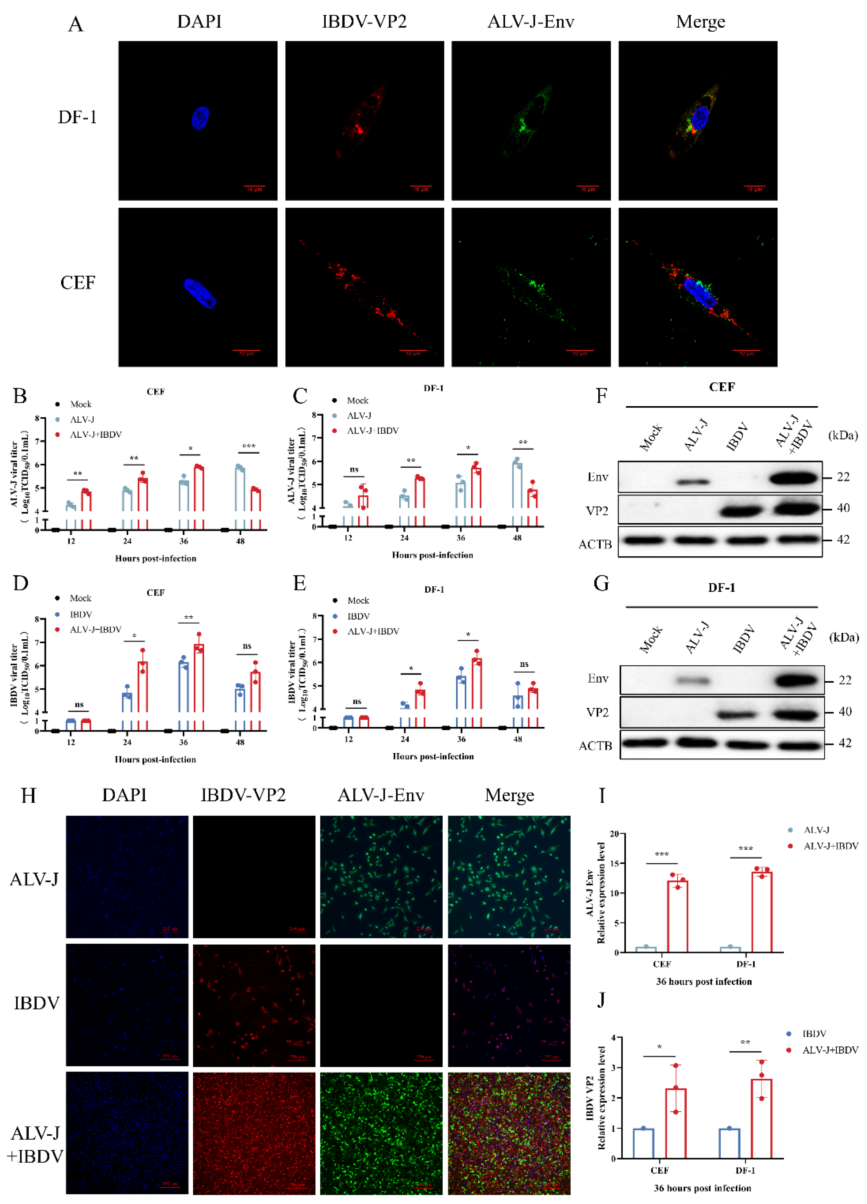 Viruses 14 02312 g002