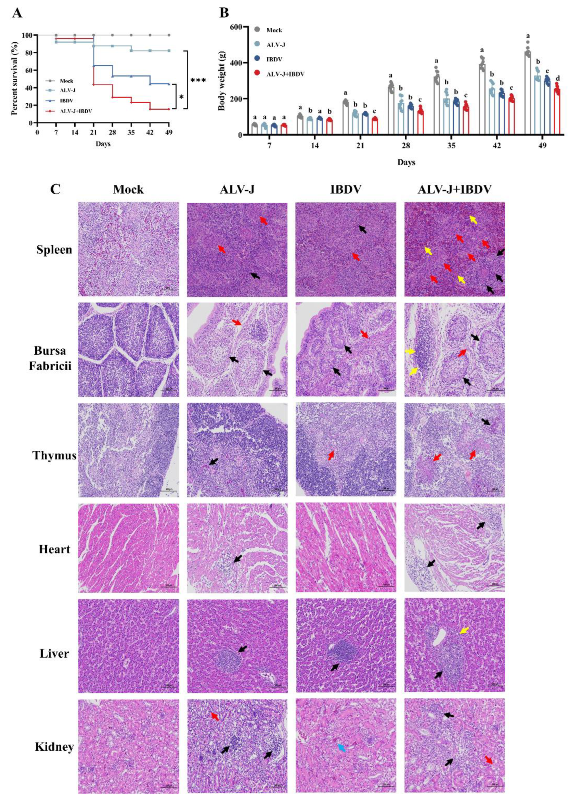 Viruses 14 02312 g004