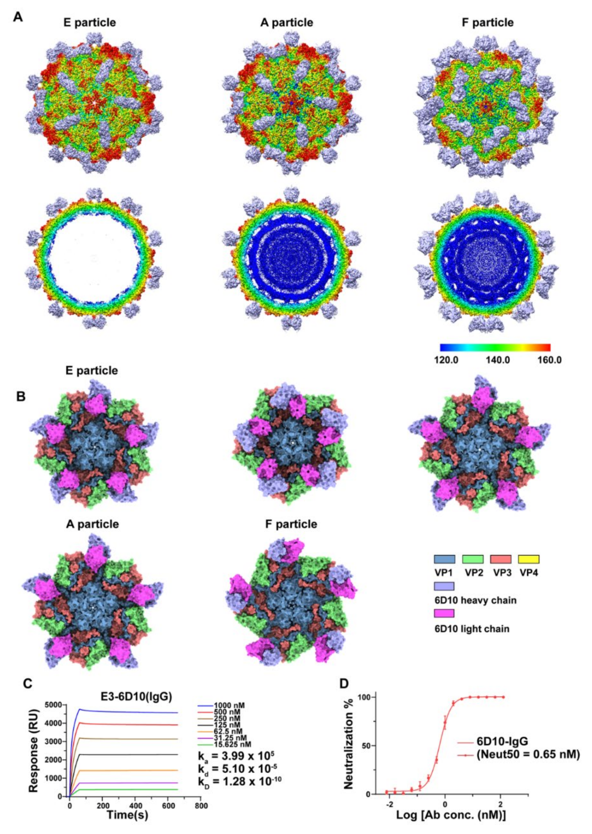 Viruses 14 02322 g001