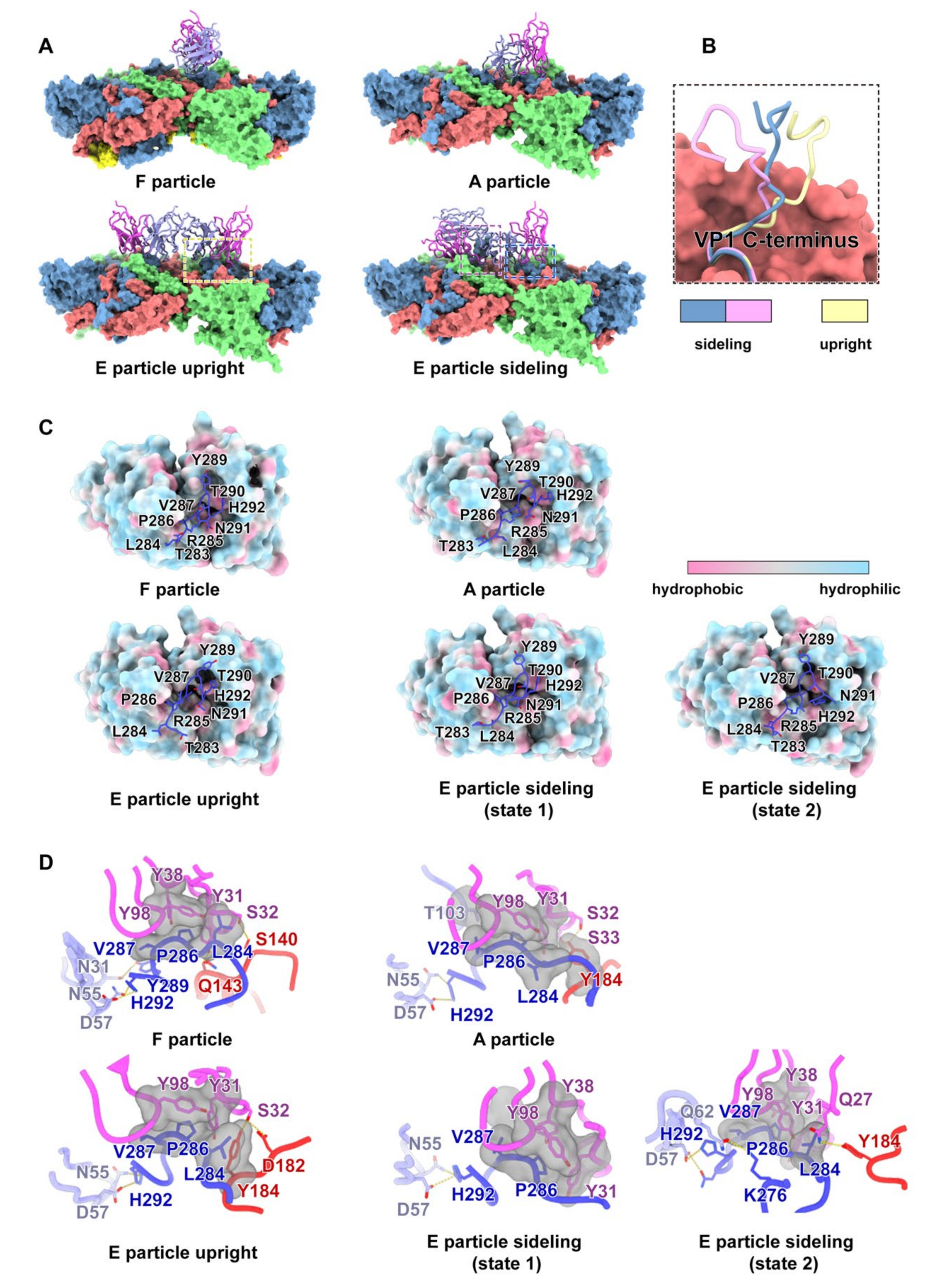 Viruses 14 02322 g002