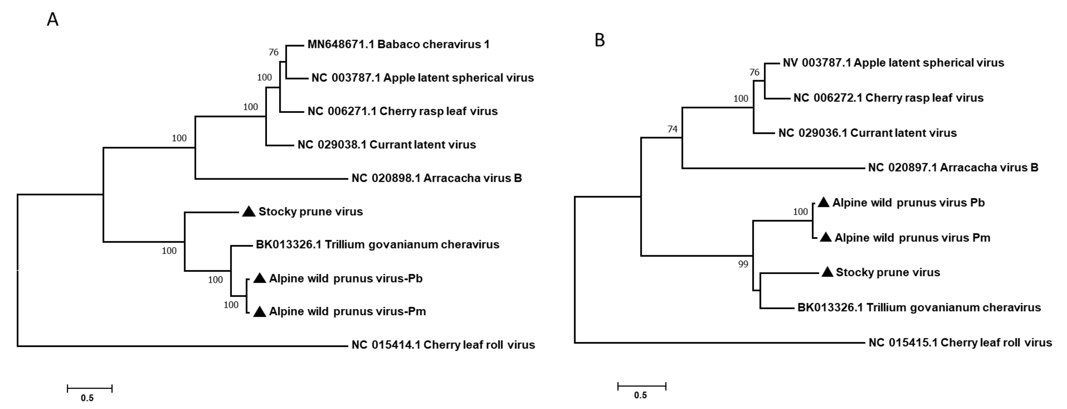 Viruses 14 02325 g002