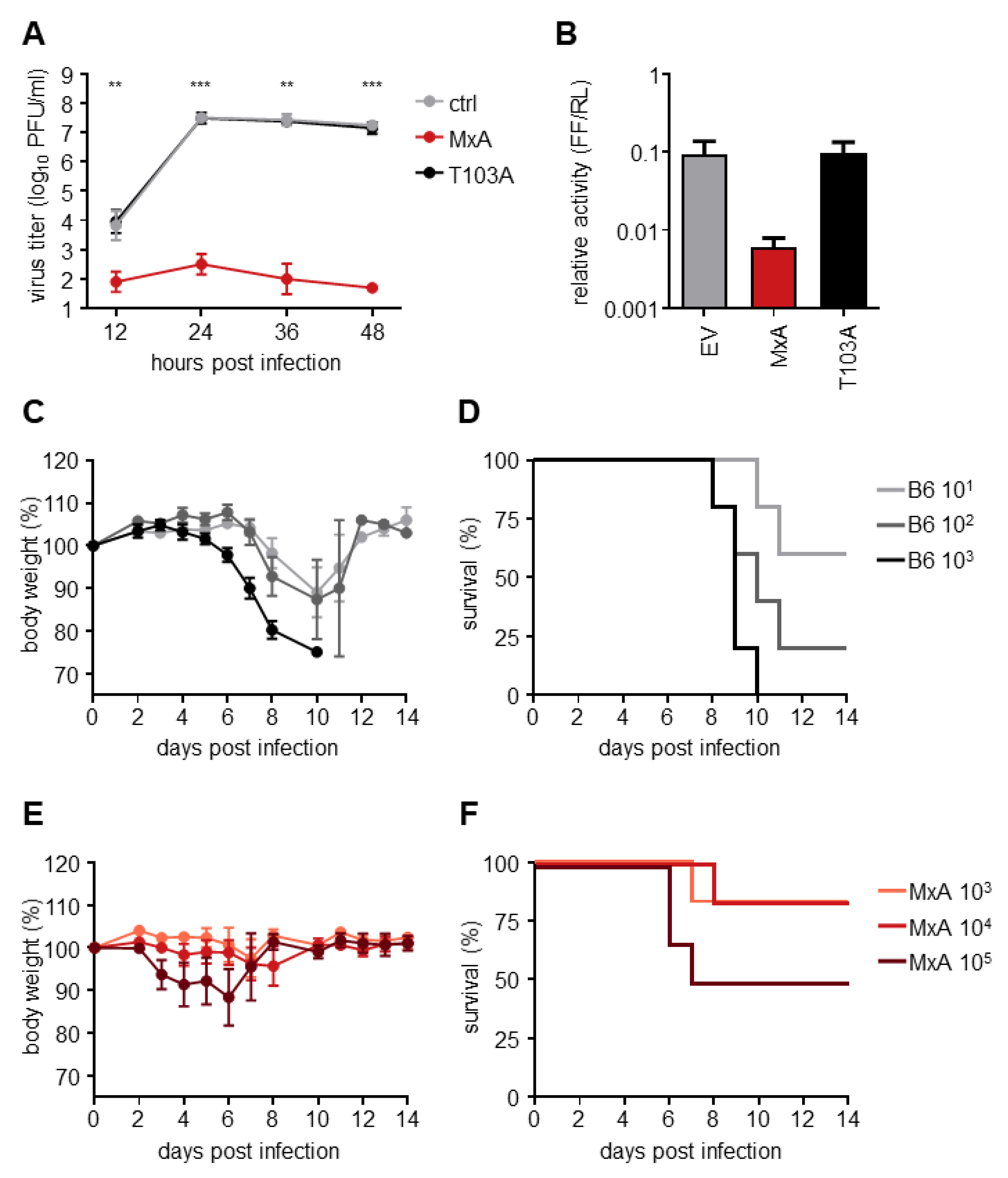 Viruses 14 02331 g001