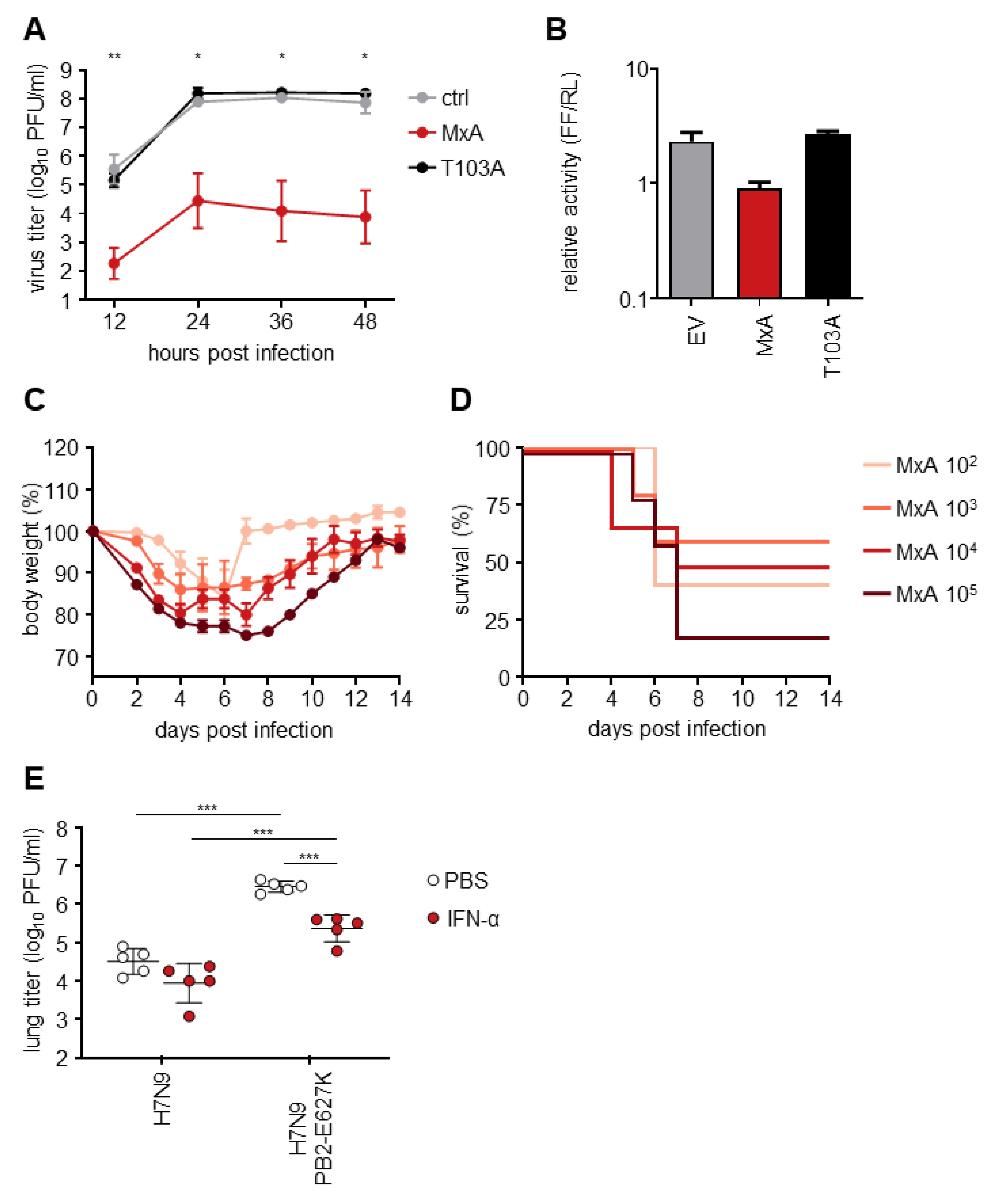 Viruses 14 02331 g004