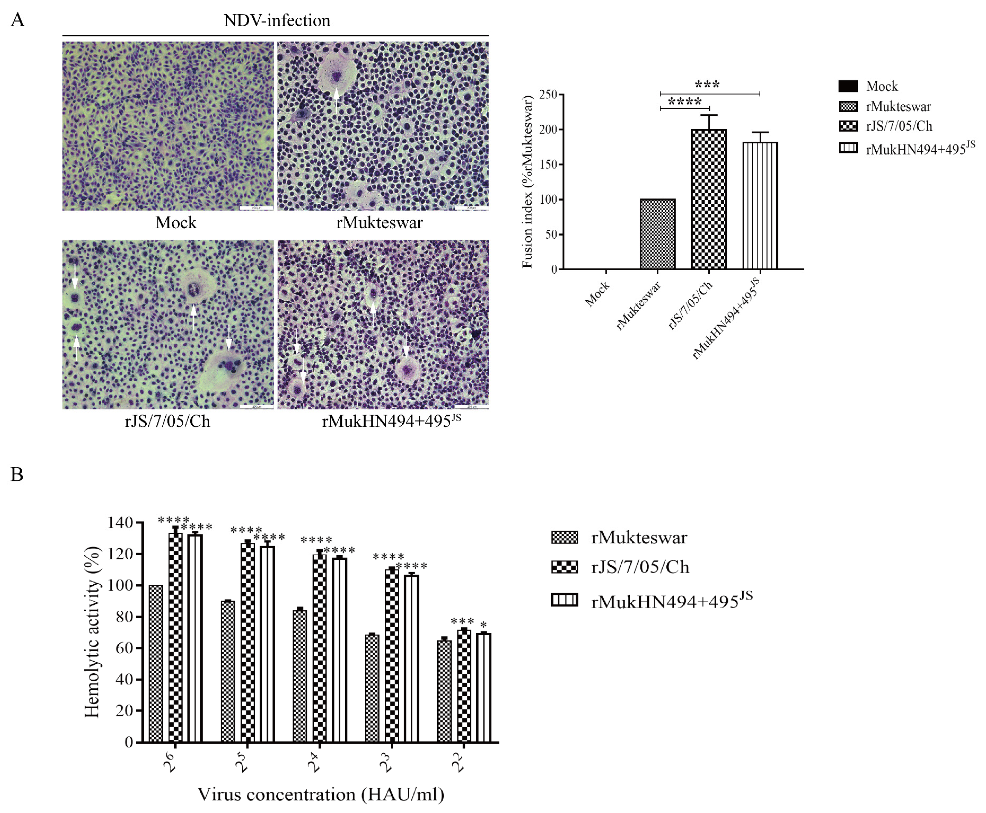 Viruses 14 02338 g005 Viruses 14 02338 g005
