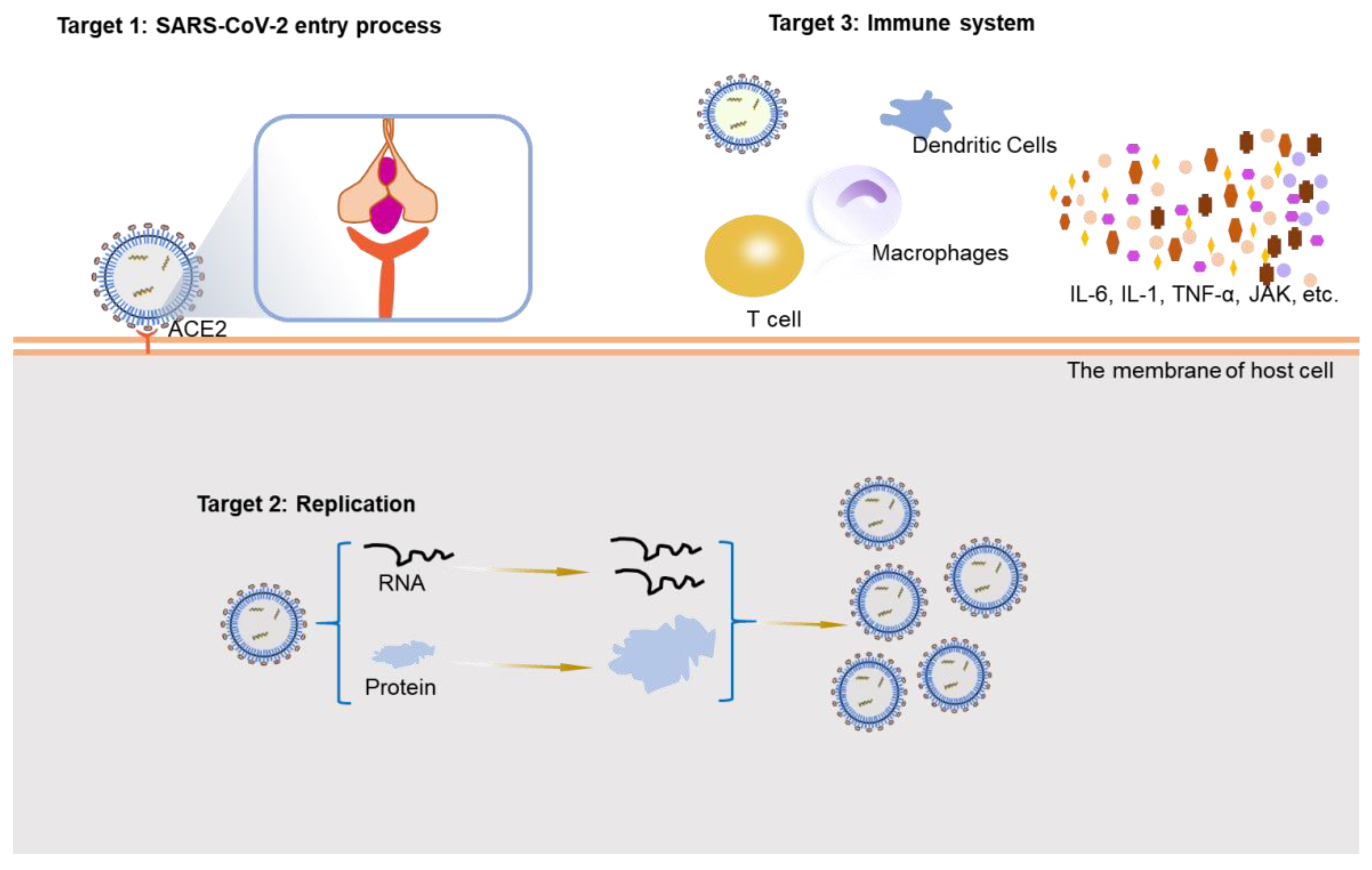 Viruses 14 02346 g002