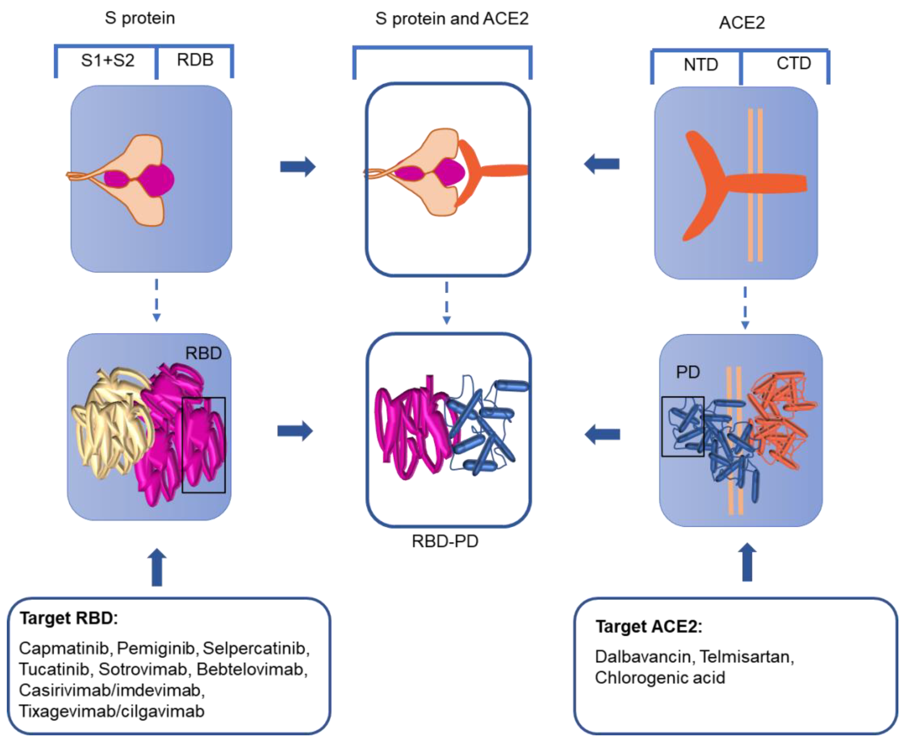 Viruses 14 02346 g003