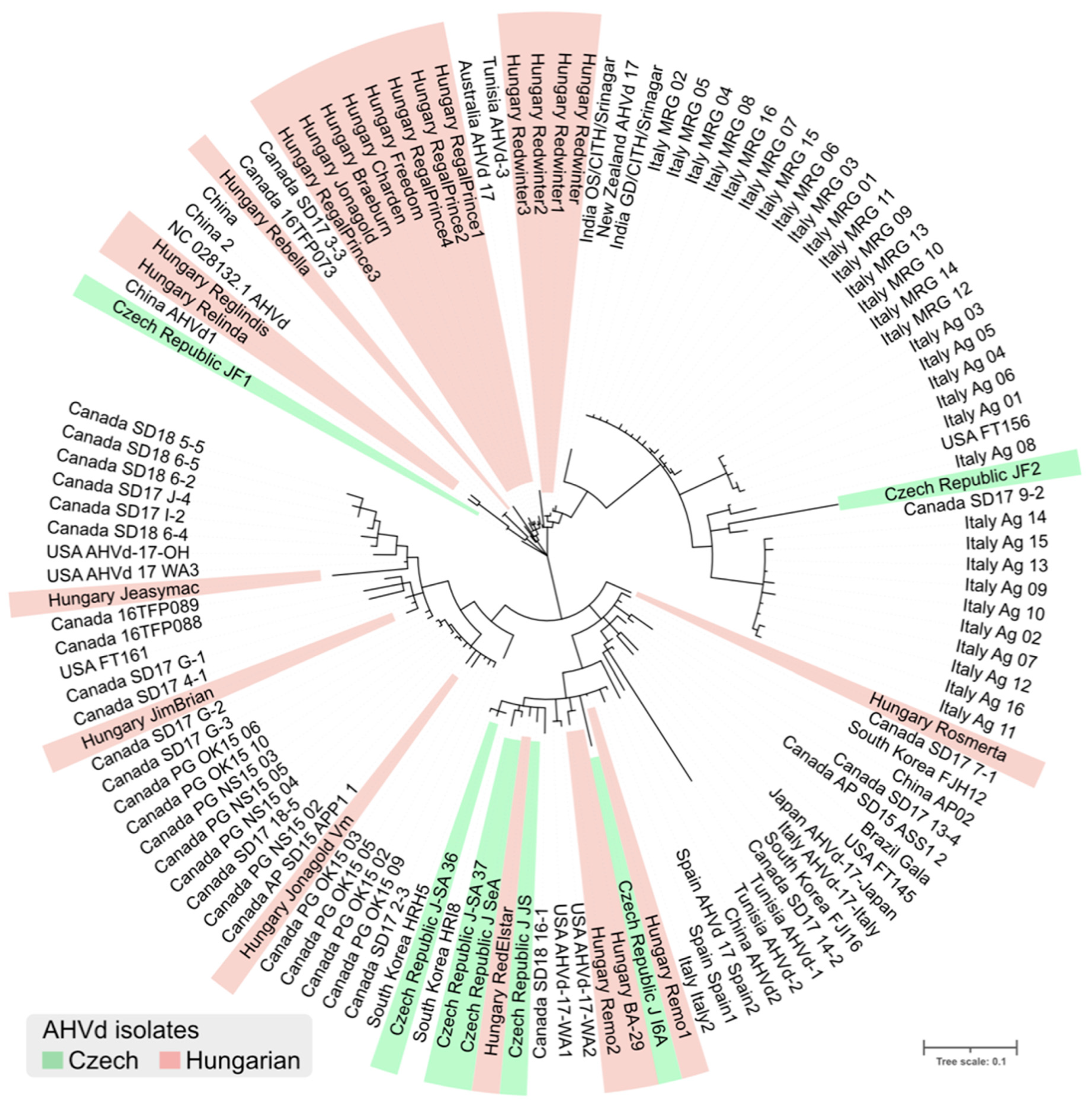 Viruses 14 02347 g002