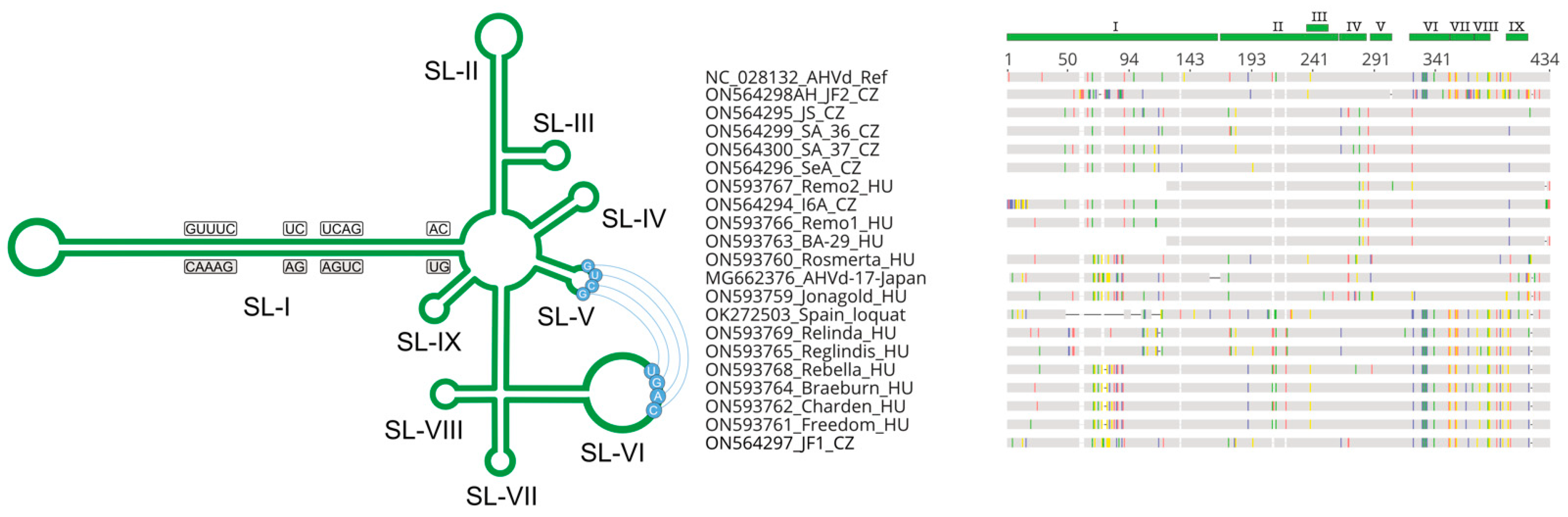 Viruses 14 02347 g003