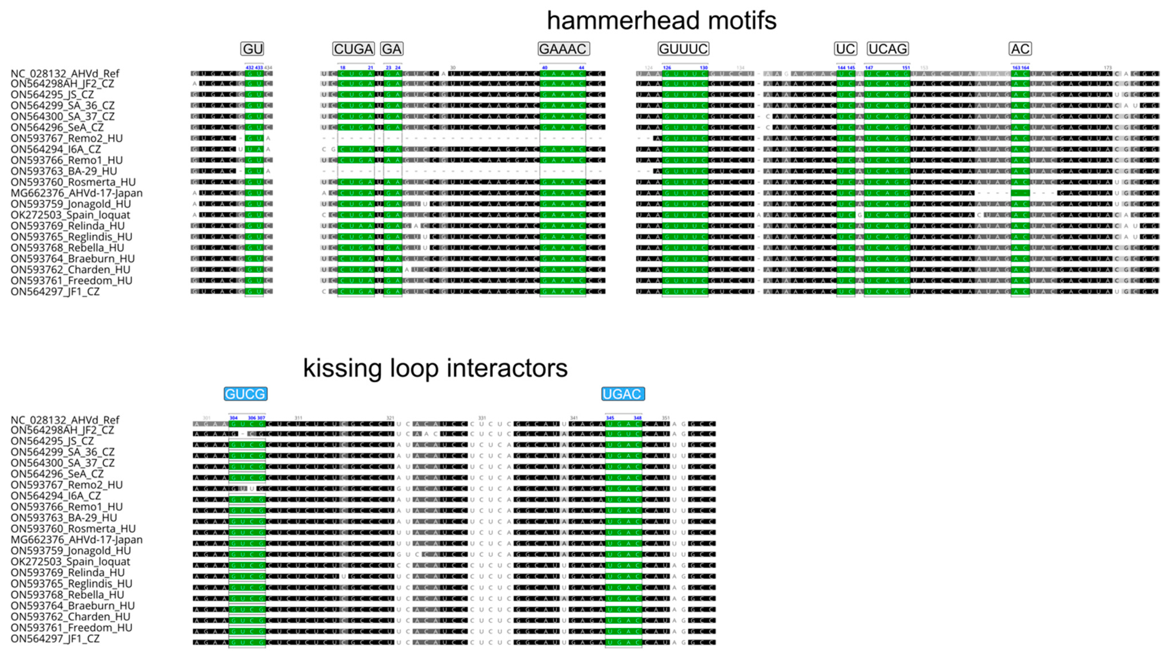 Viruses 14 02347 g004