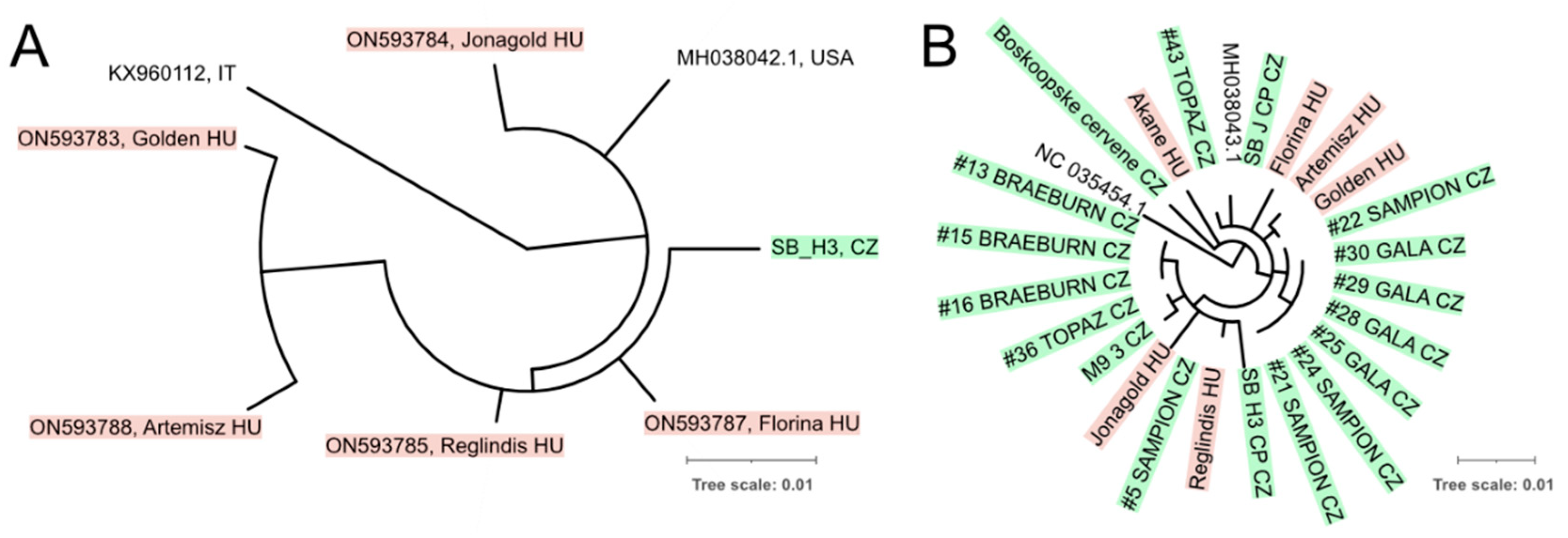 Viruses 14 02347 g008