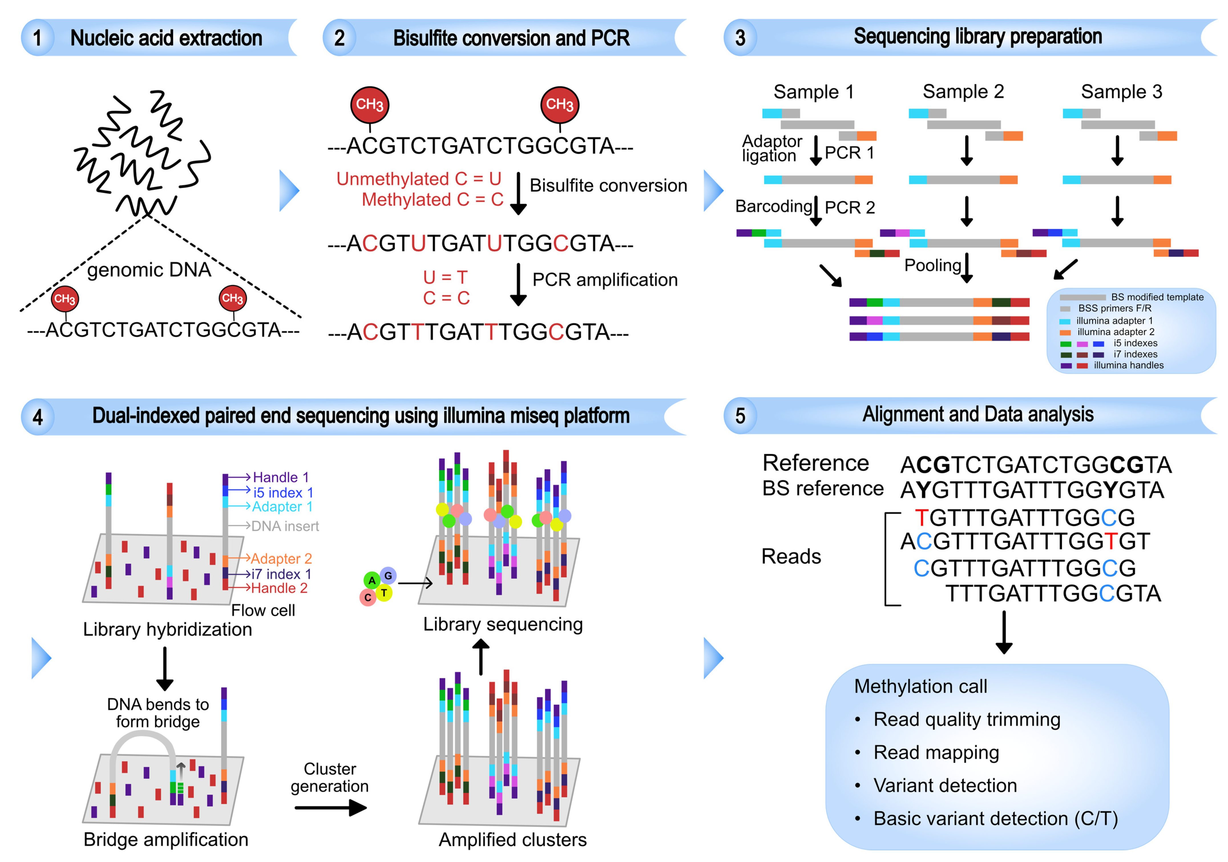 Viruses 14 02352 g001 Viruses 14 02352 g001