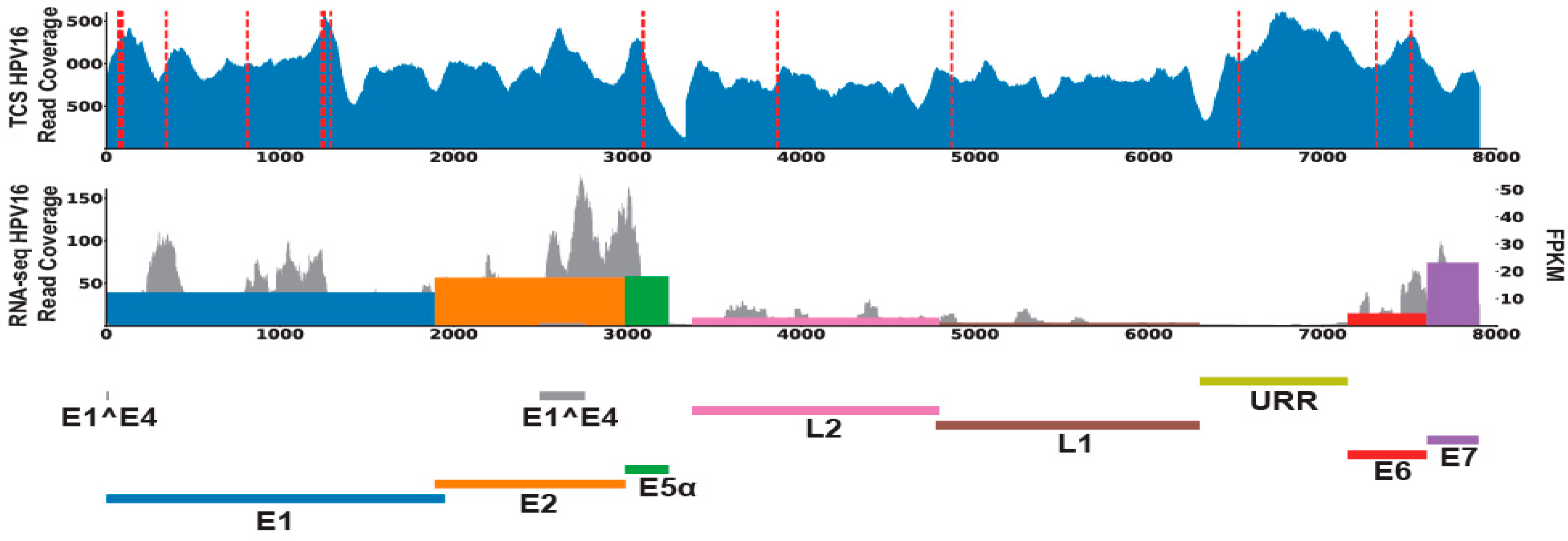 Viruses 14 02353 g002