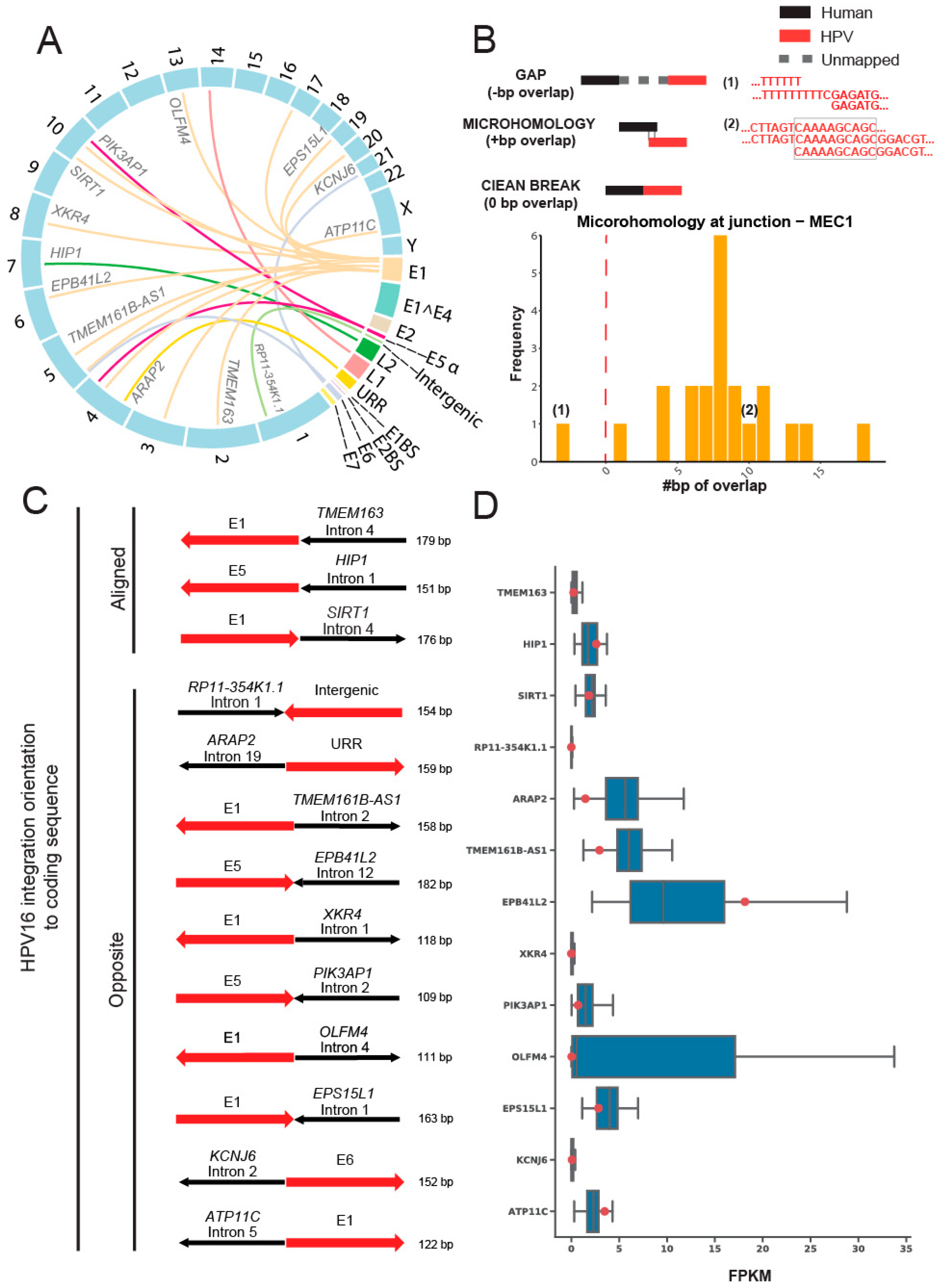 Viruses 14 02353 g003