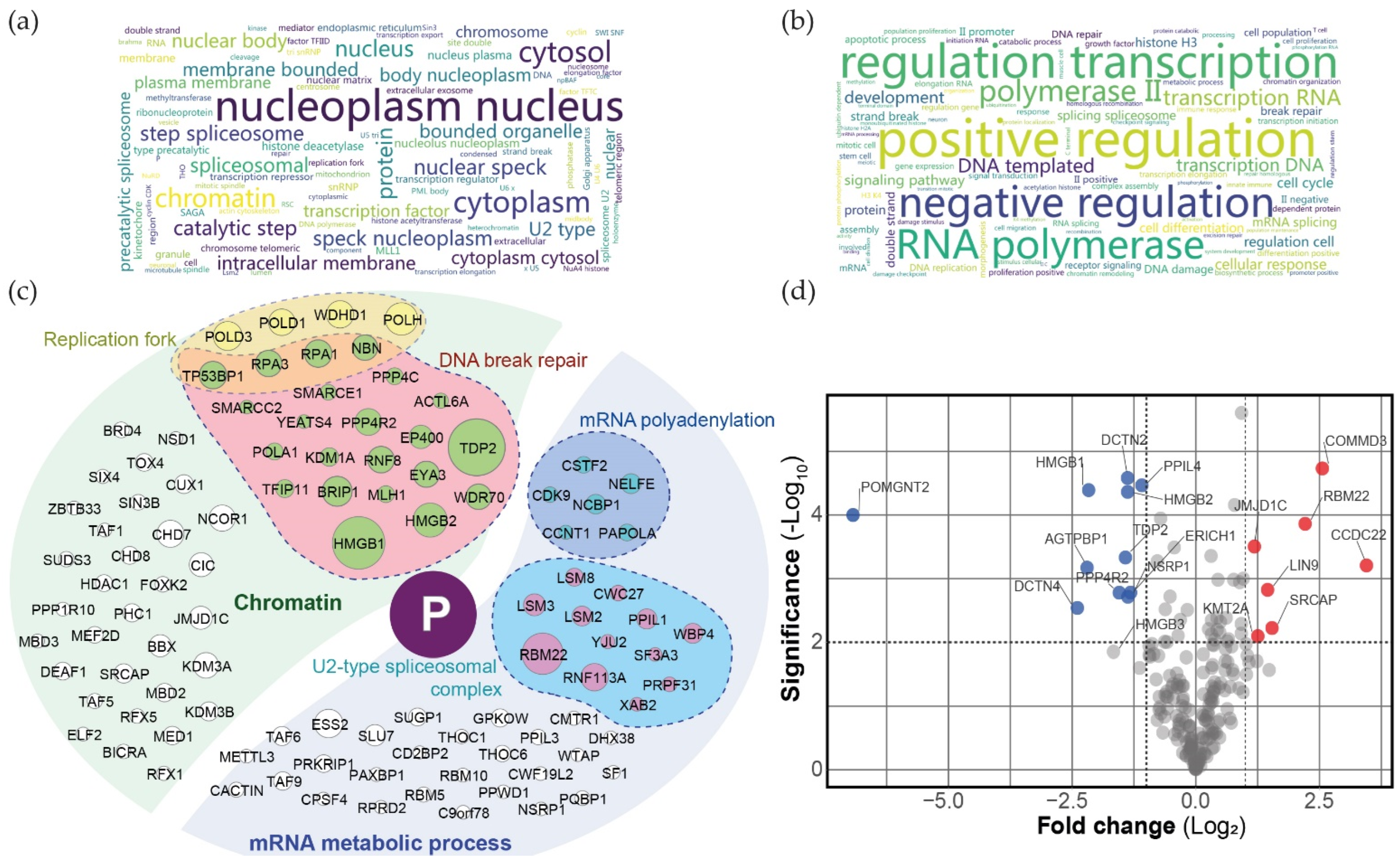 Viruses 14 02358 g006