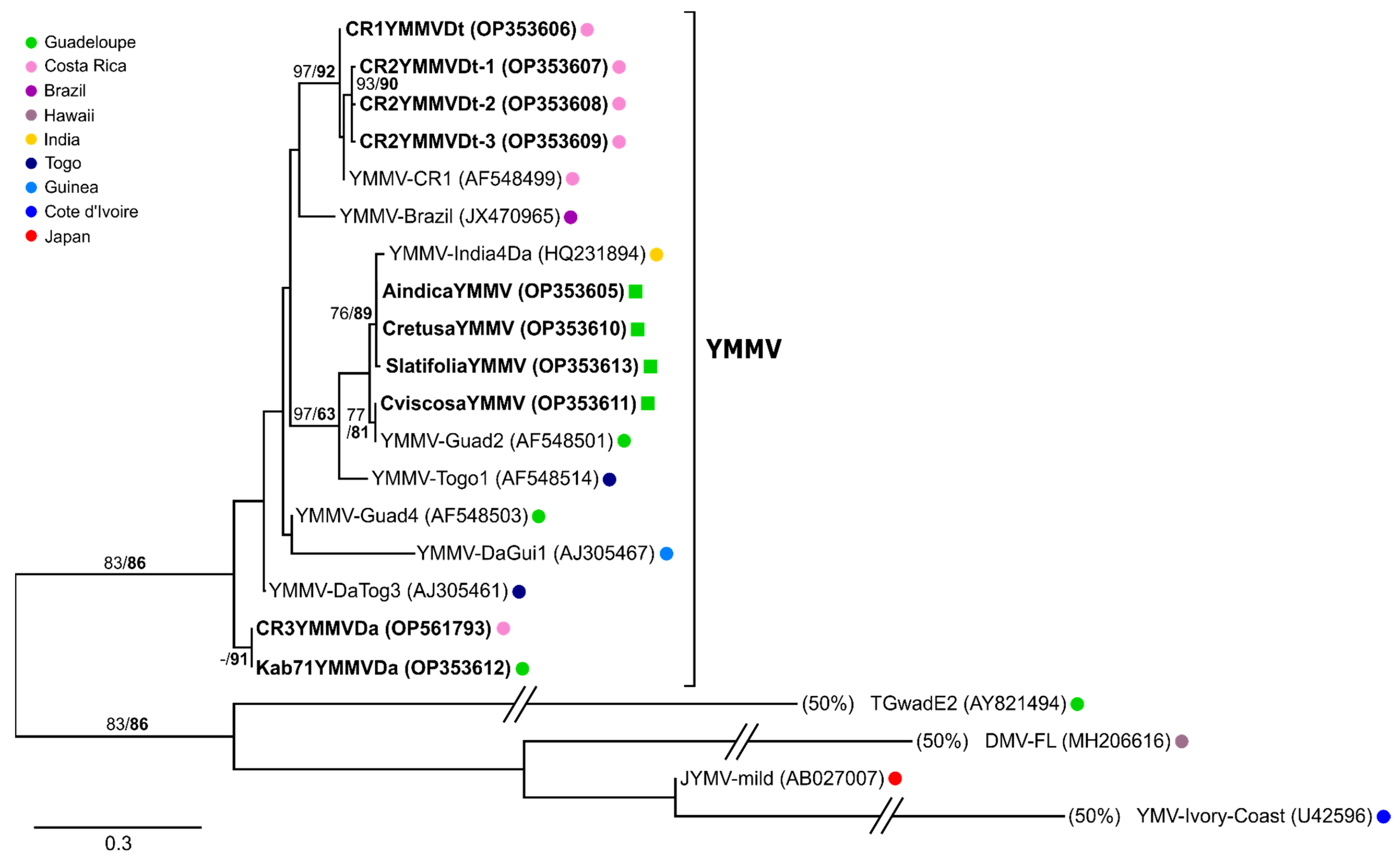 Viruses 14 02366 g007