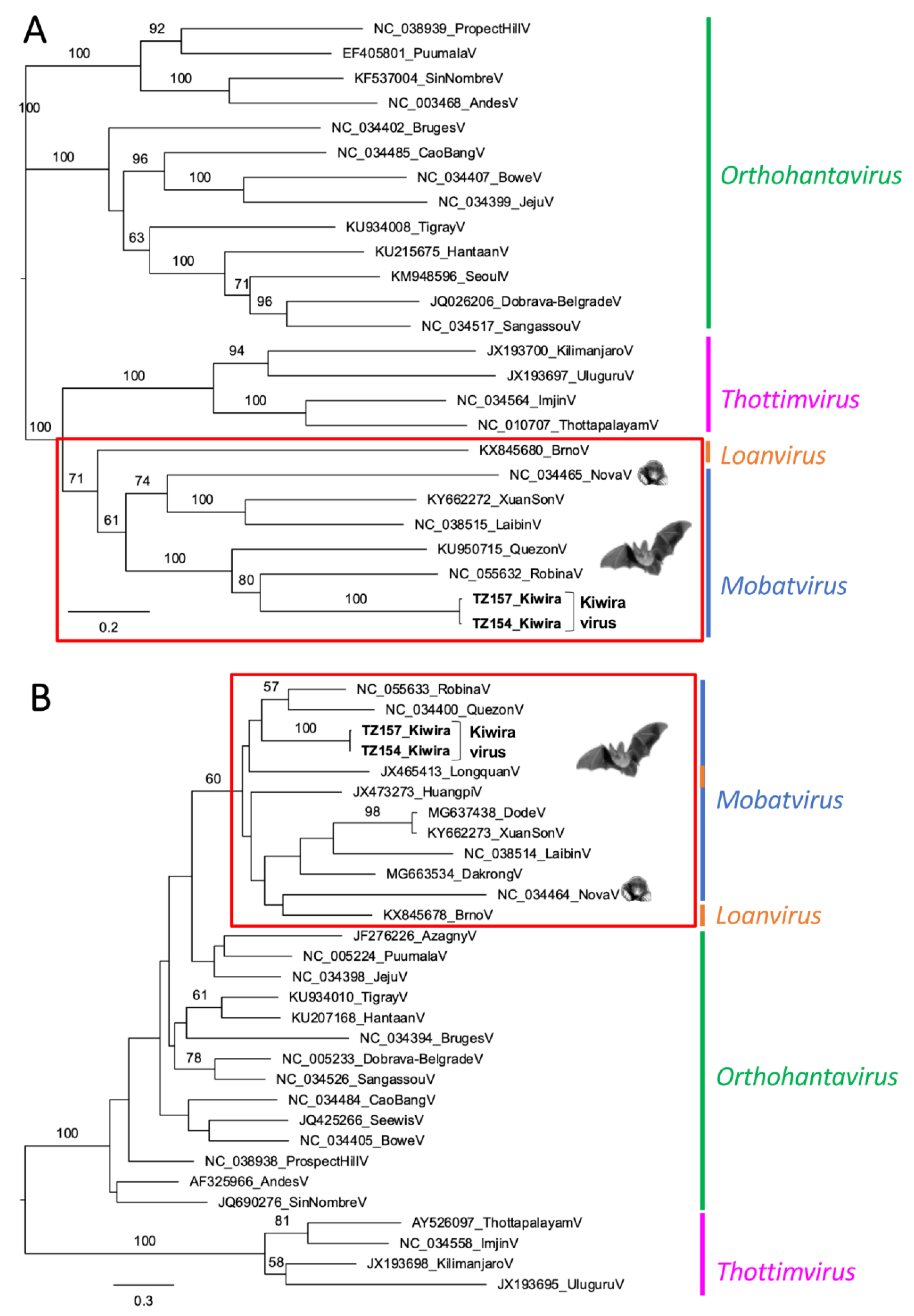 Viruses 14 02368 g002 Viruses 14 02368 g002