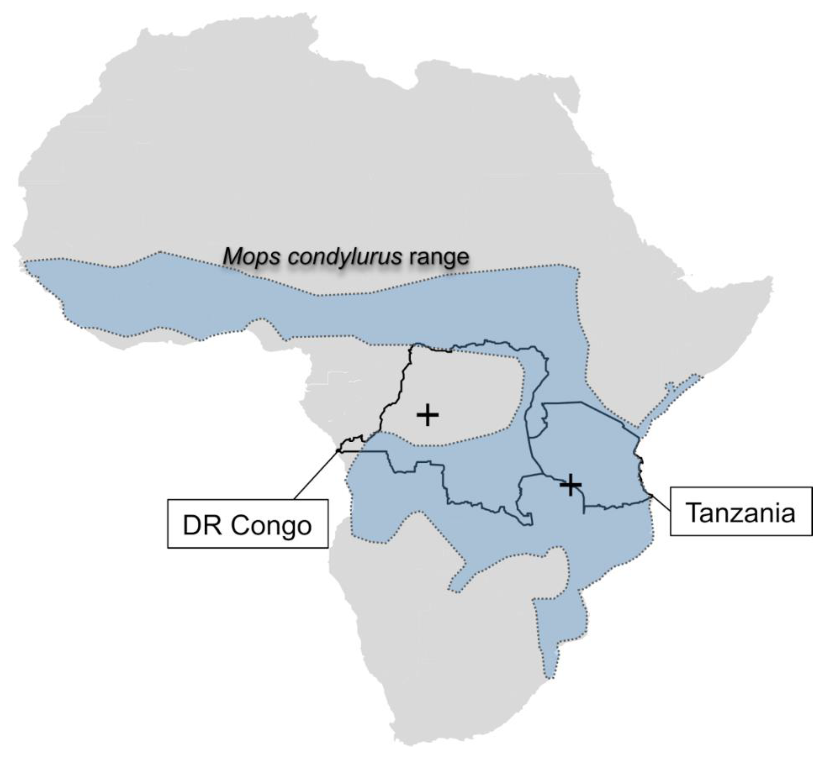 Viruses 14 02368 g003 Viruses 14 02368 g003