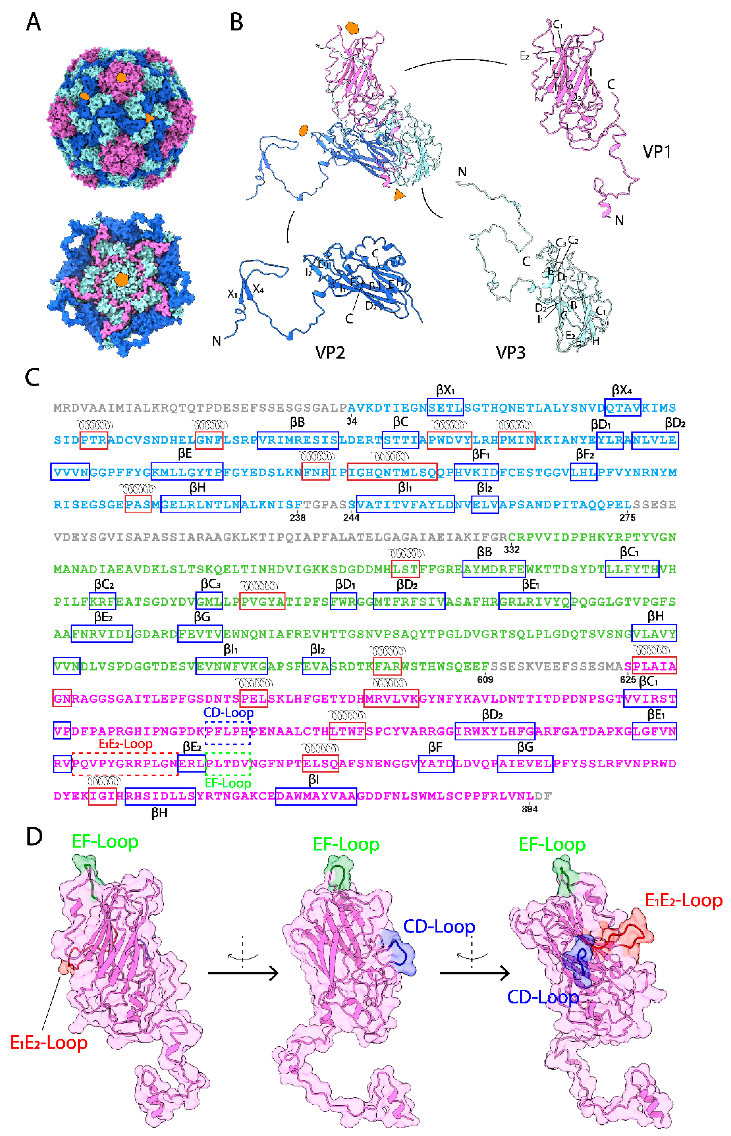 Viruses 14 02369 g001
