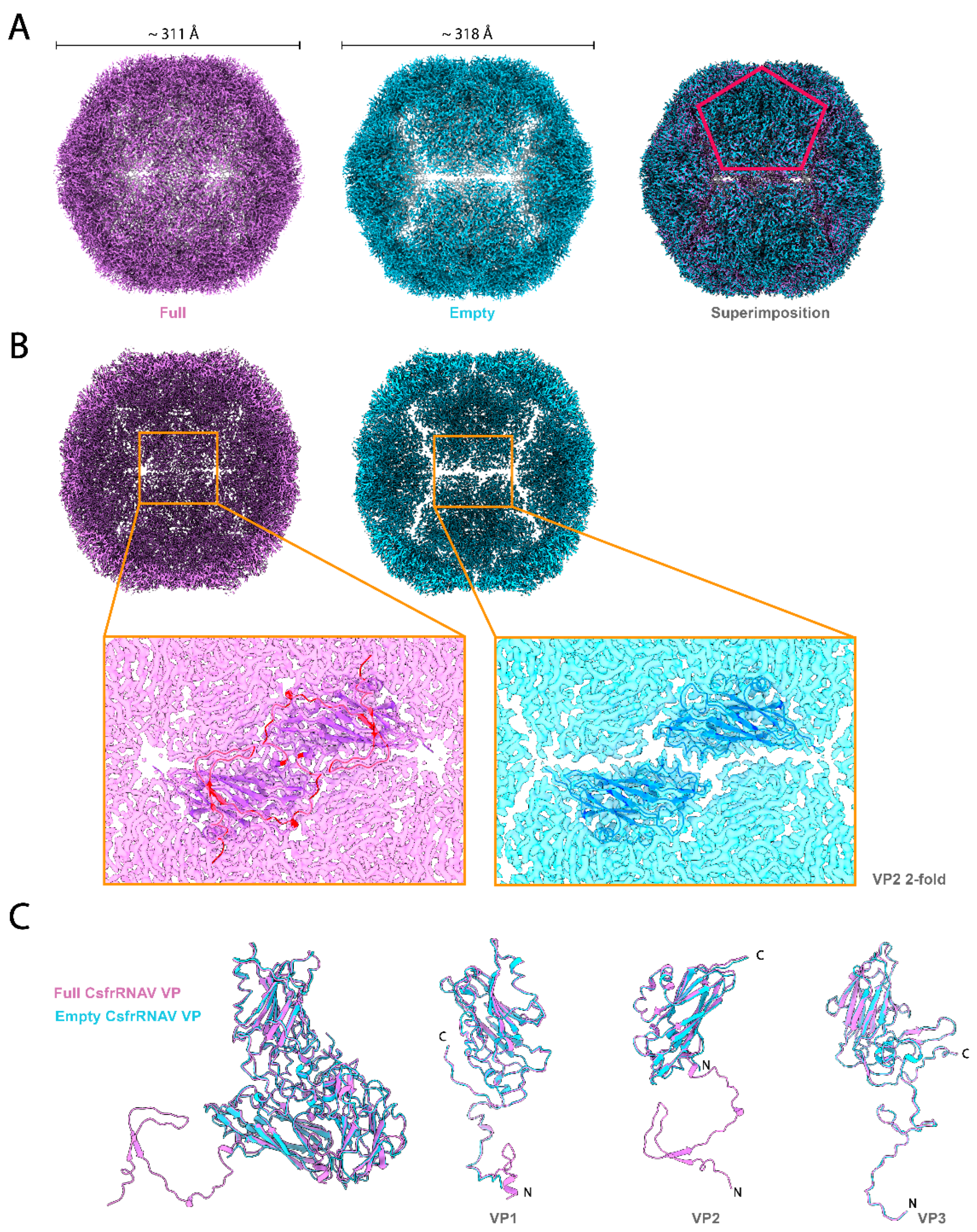 Viruses 14 02369 g002