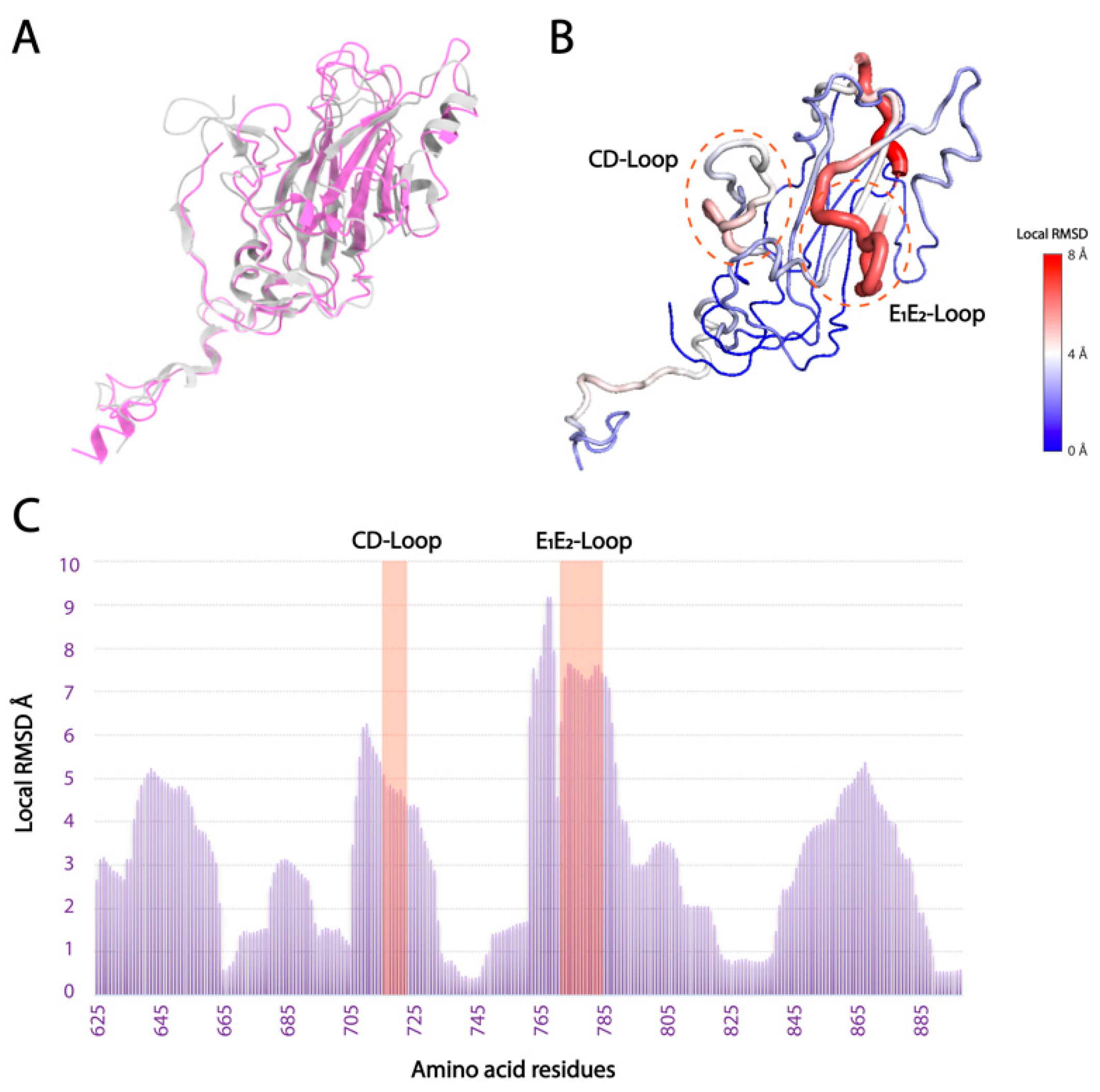 Viruses 14 02369 g003
