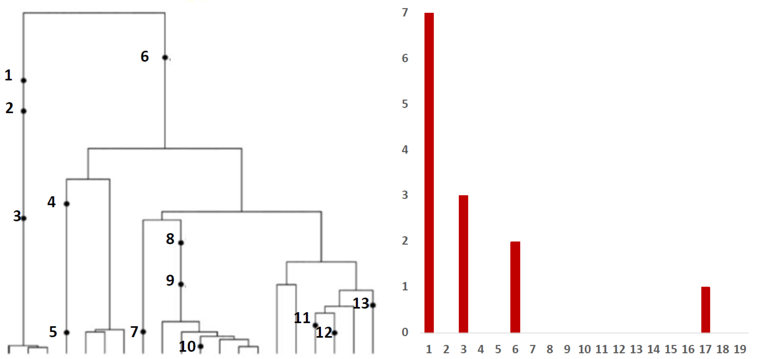 Viruses 14 02375 g001