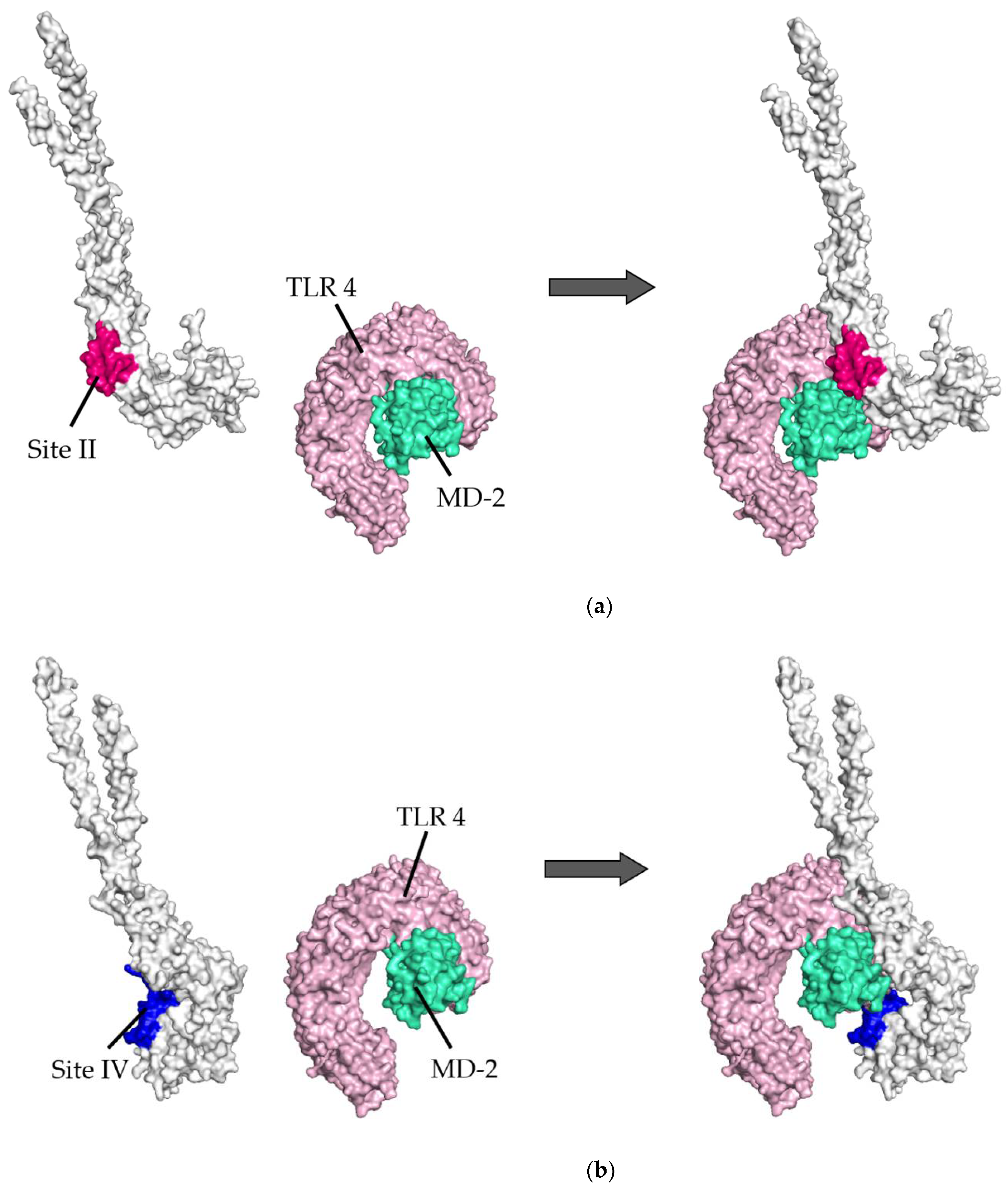 Viruses 14 02382 g004