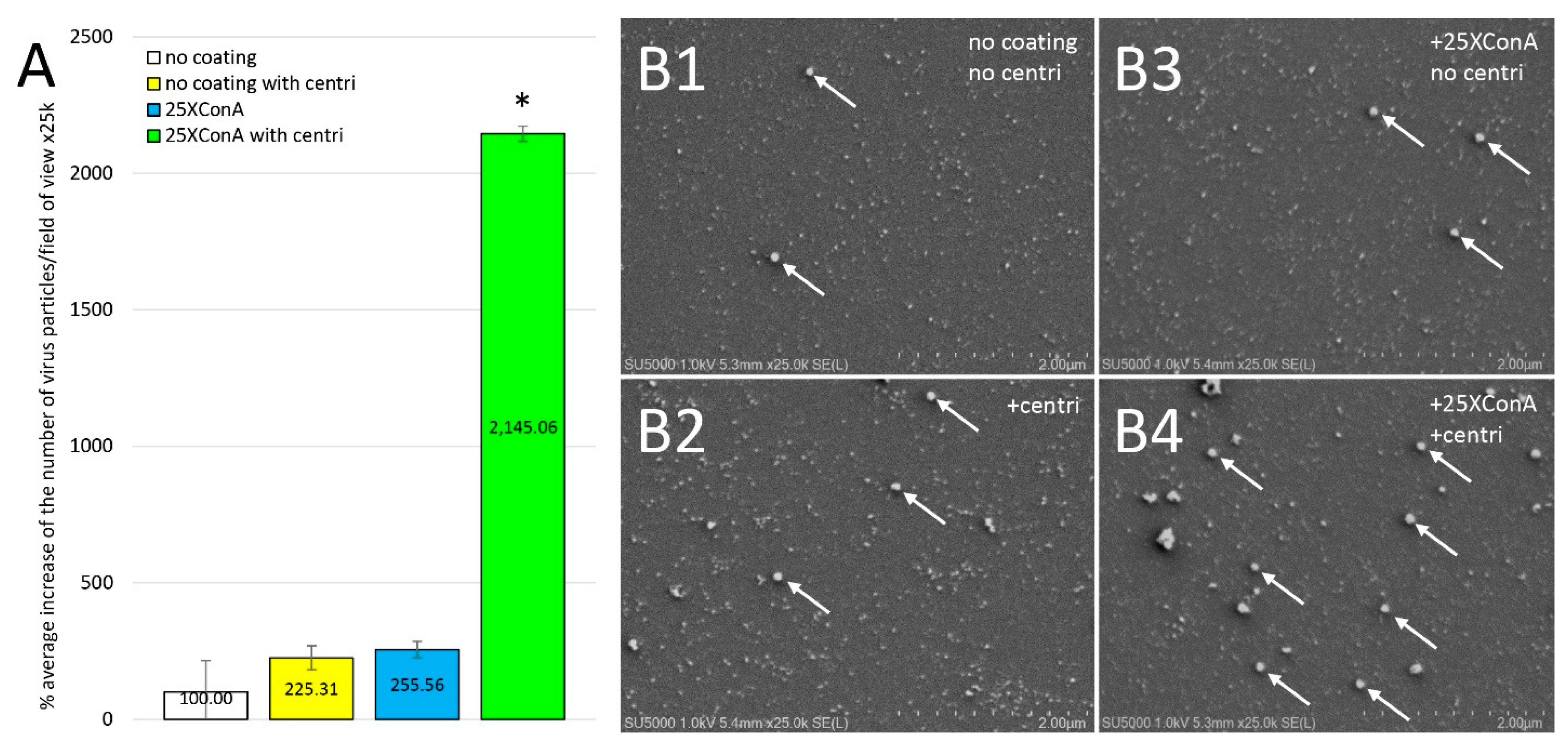 Viruses 14 02388 g003