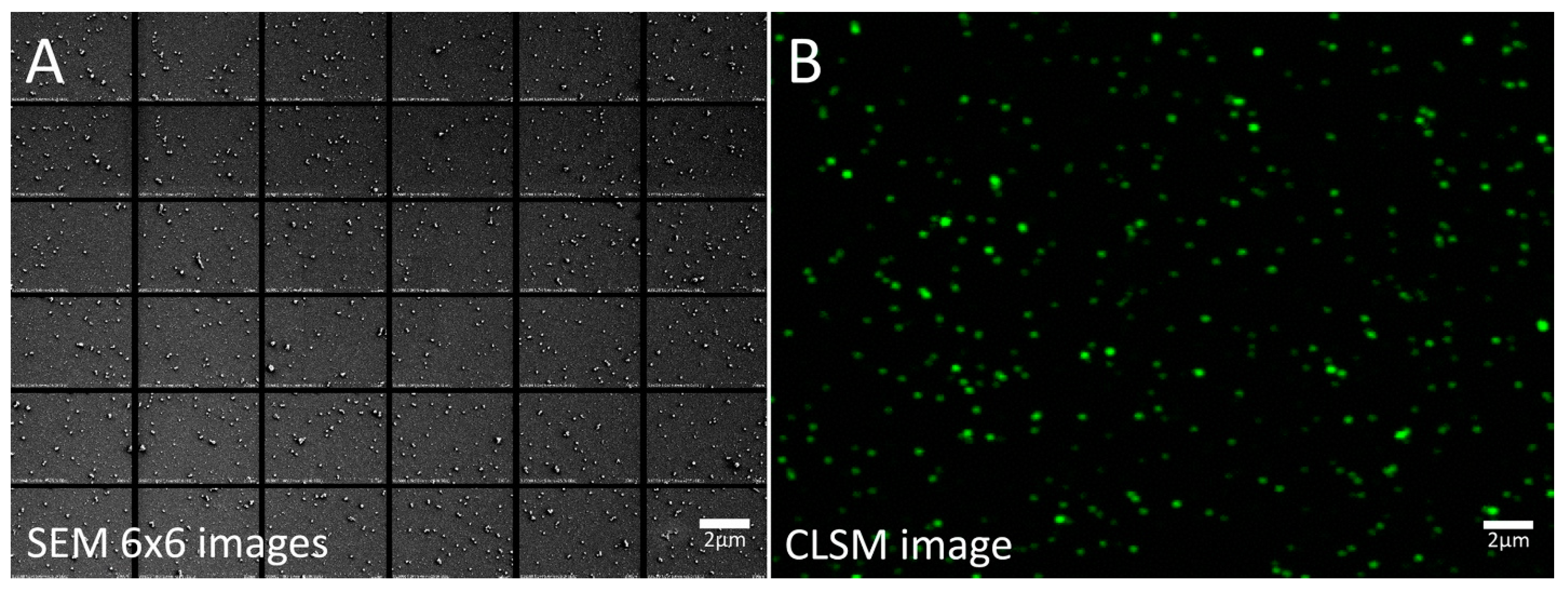 Viruses 14 02388 g004