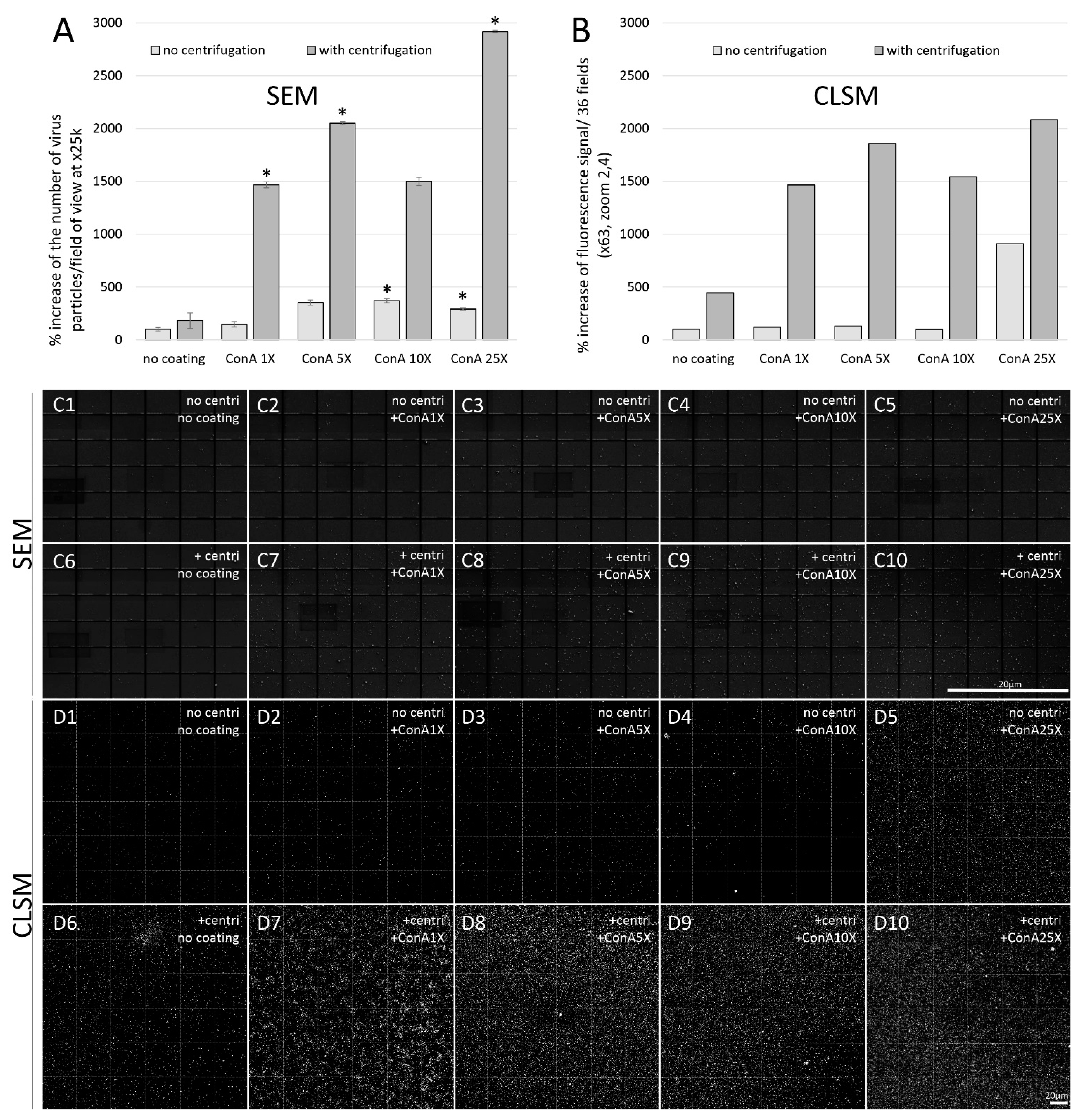 Viruses 14 02388 g005