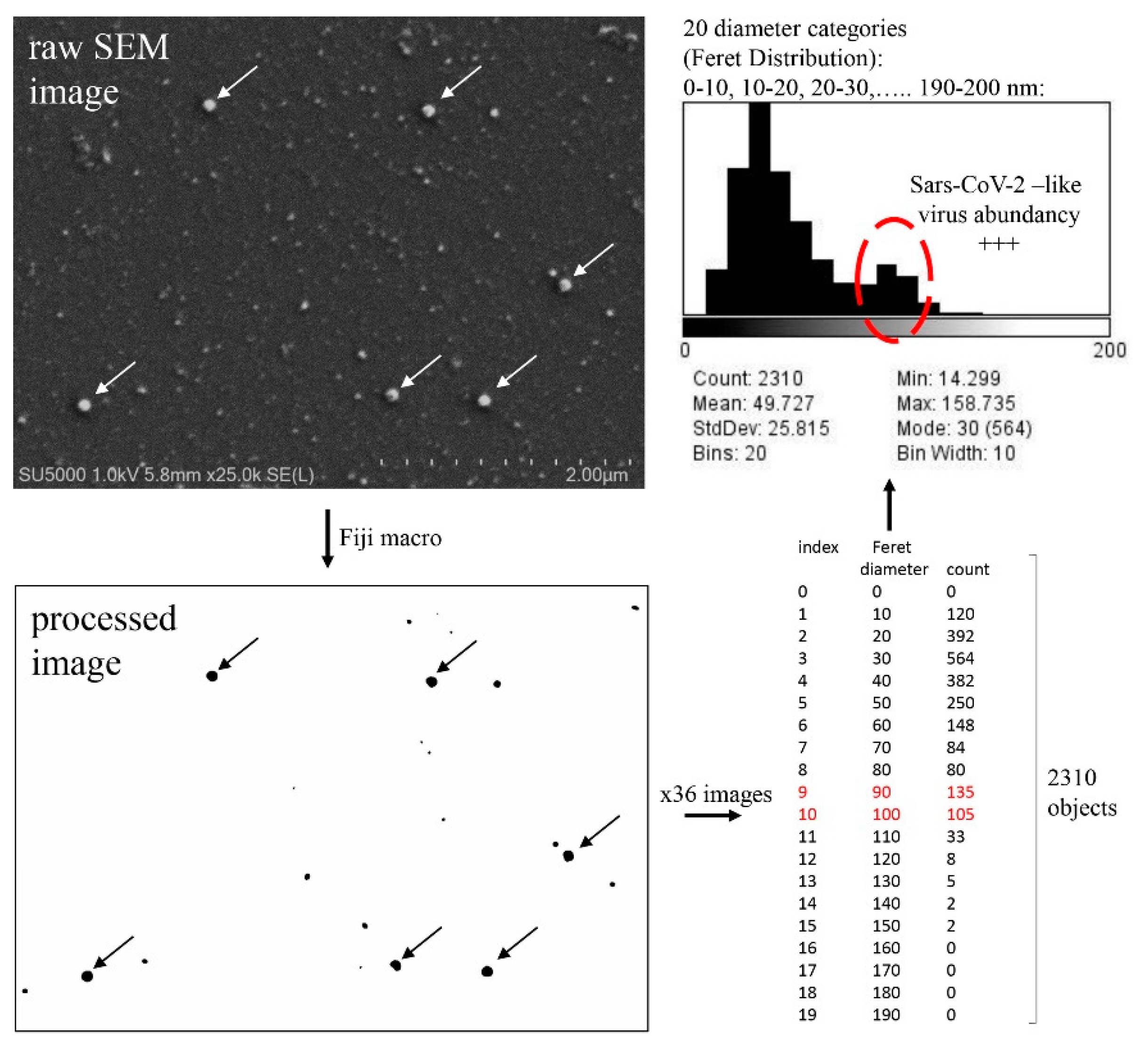 Viruses 14 02388 g006