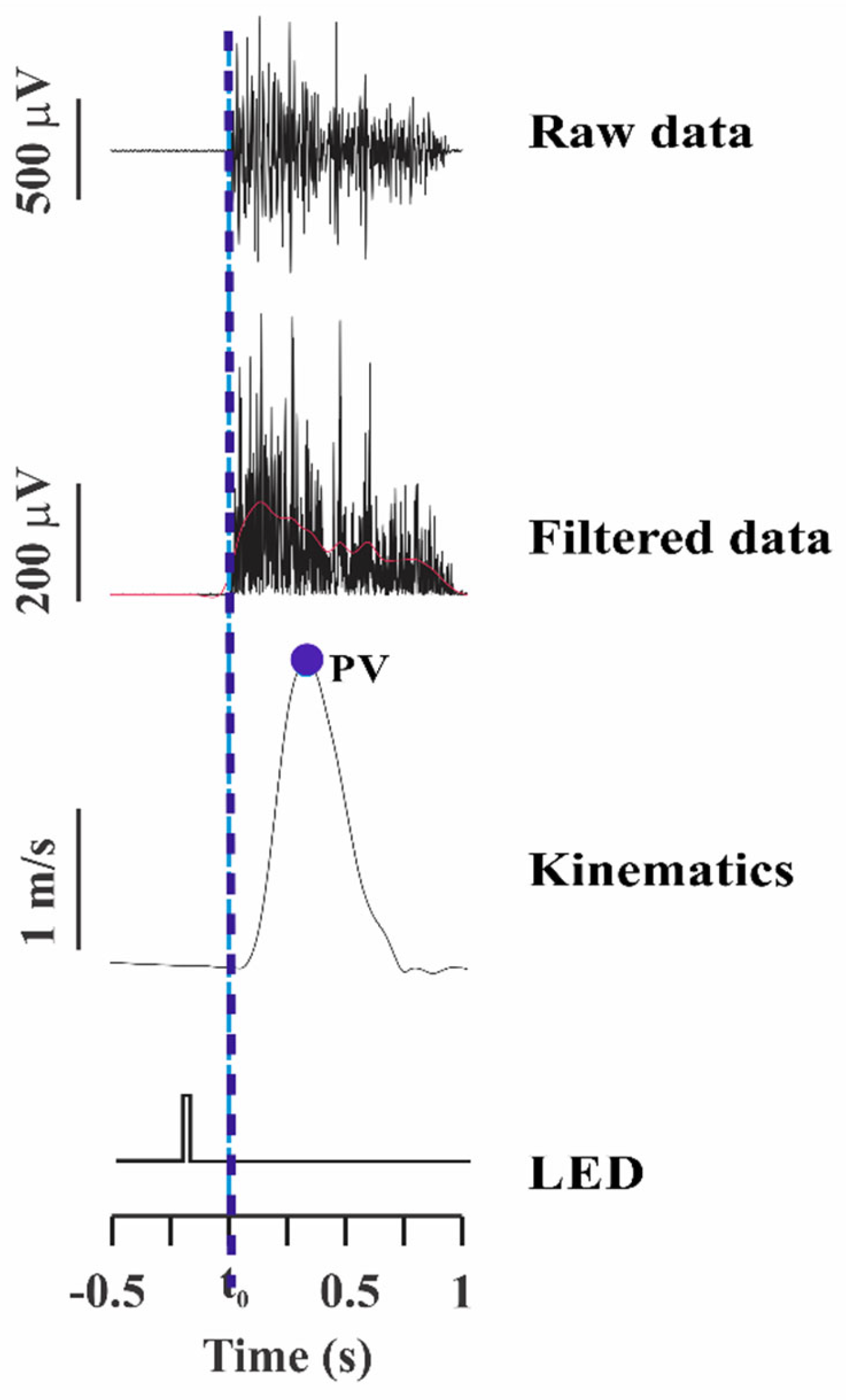 Viruses 14 02389 g002 Viruses 14 02389 g002