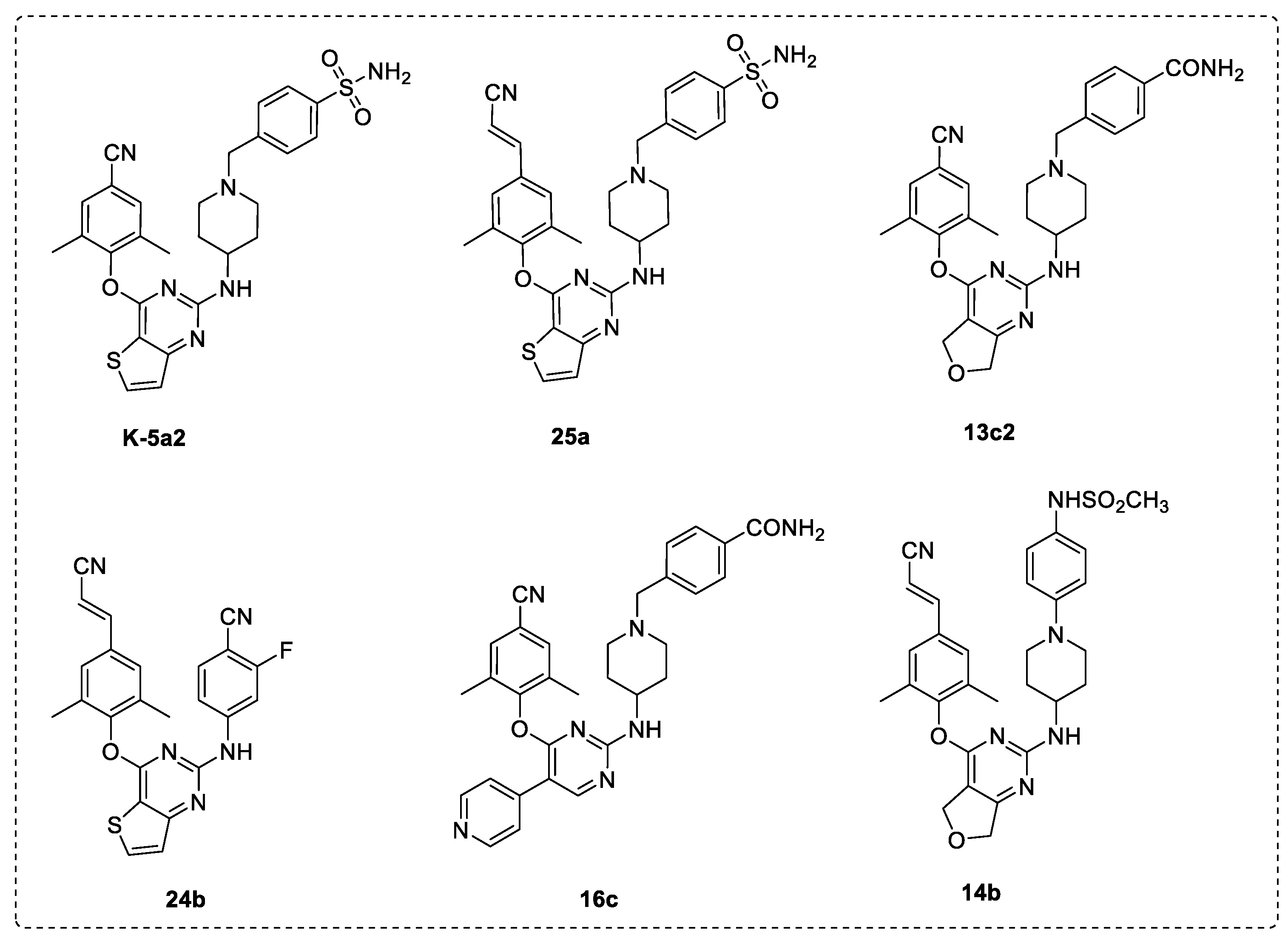 Viruses 14 02390 g002