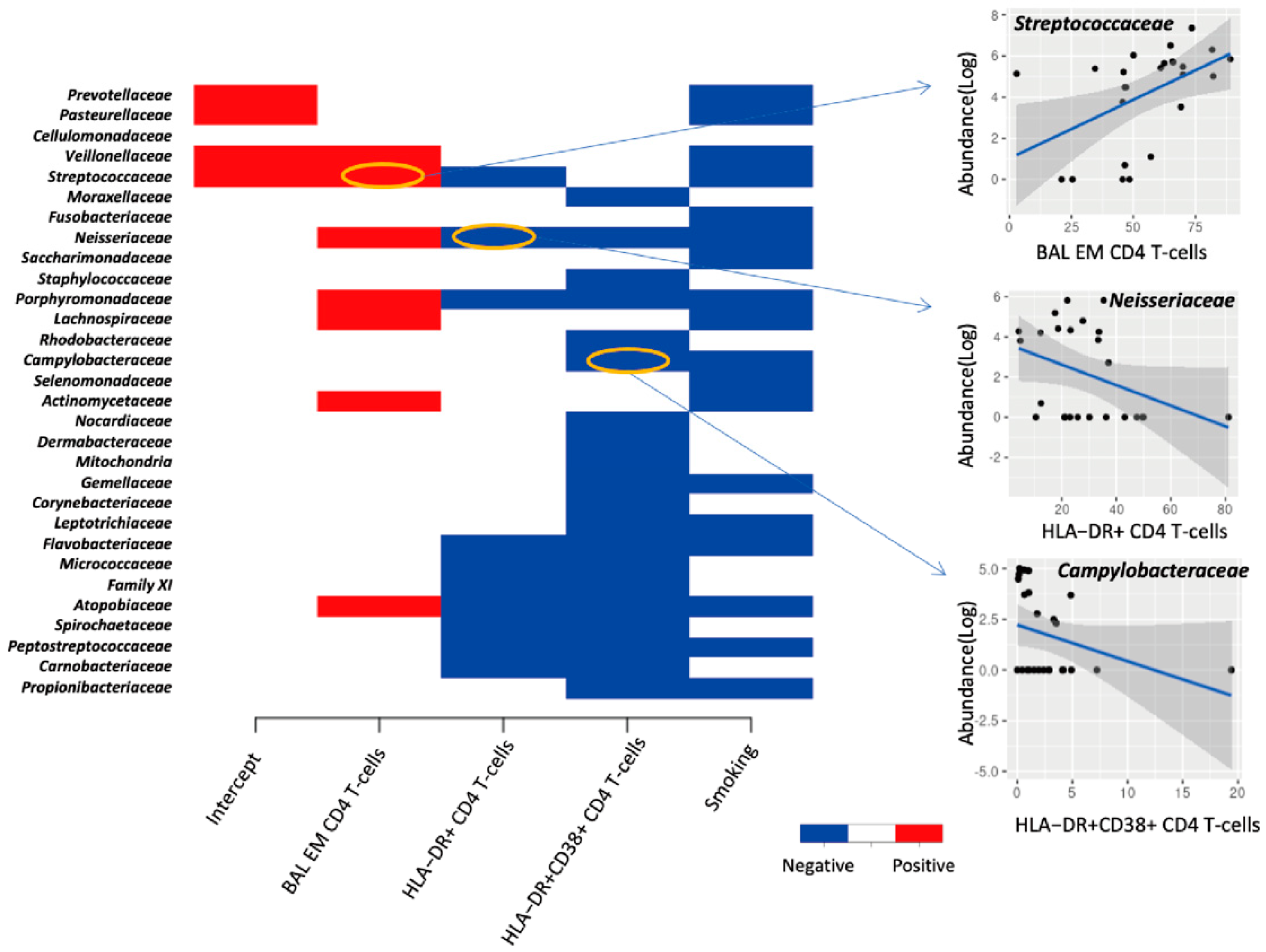 Viruses 14 02395 g004 Viruses 14 02395 g004
