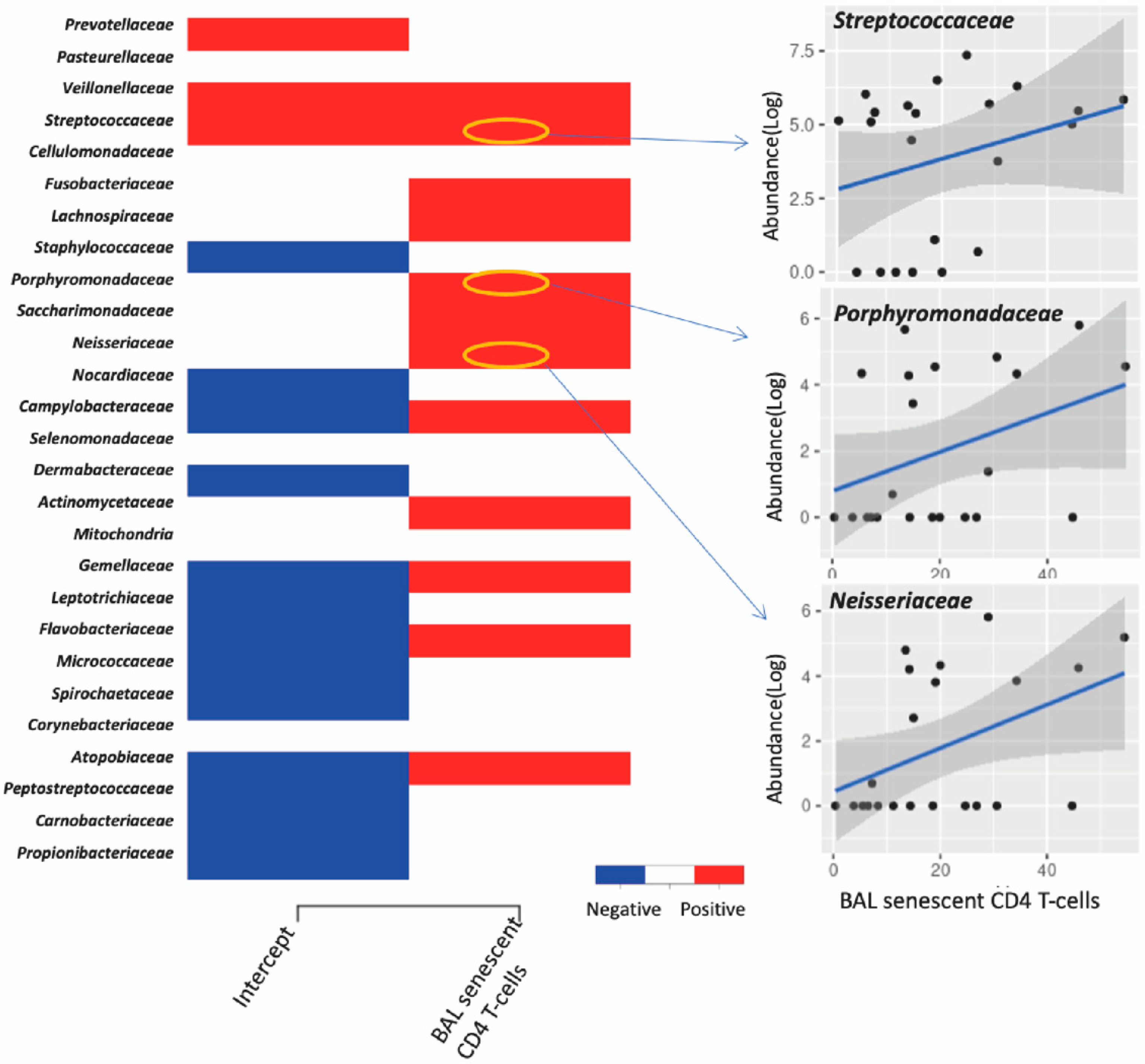 Viruses 14 02395 g006 Viruses 14 02395 g006