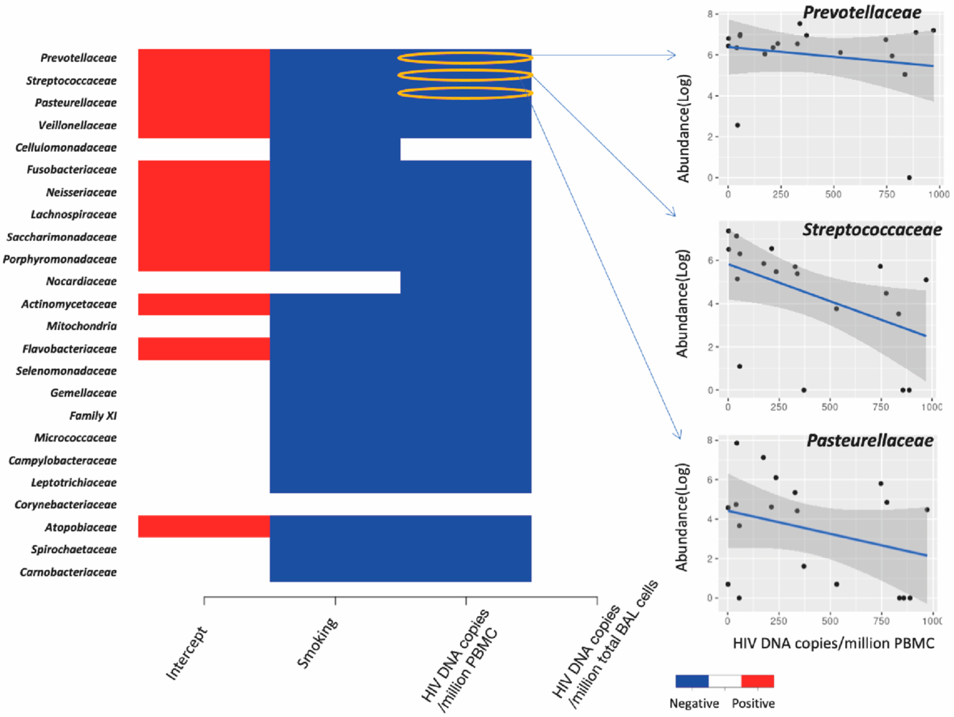 Viruses 14 02395 g009 Viruses 14 02395 g009