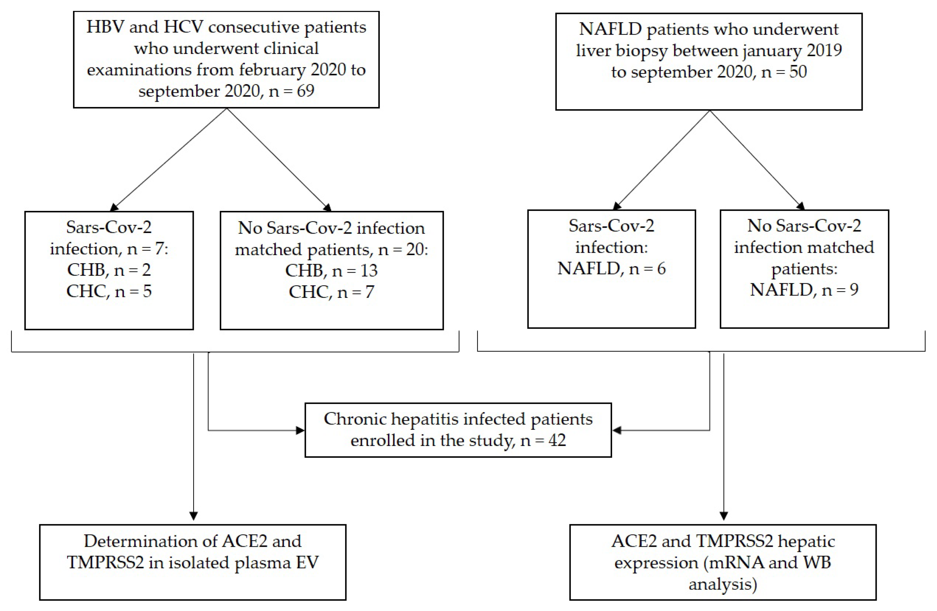 Viruses 14 02397 g001