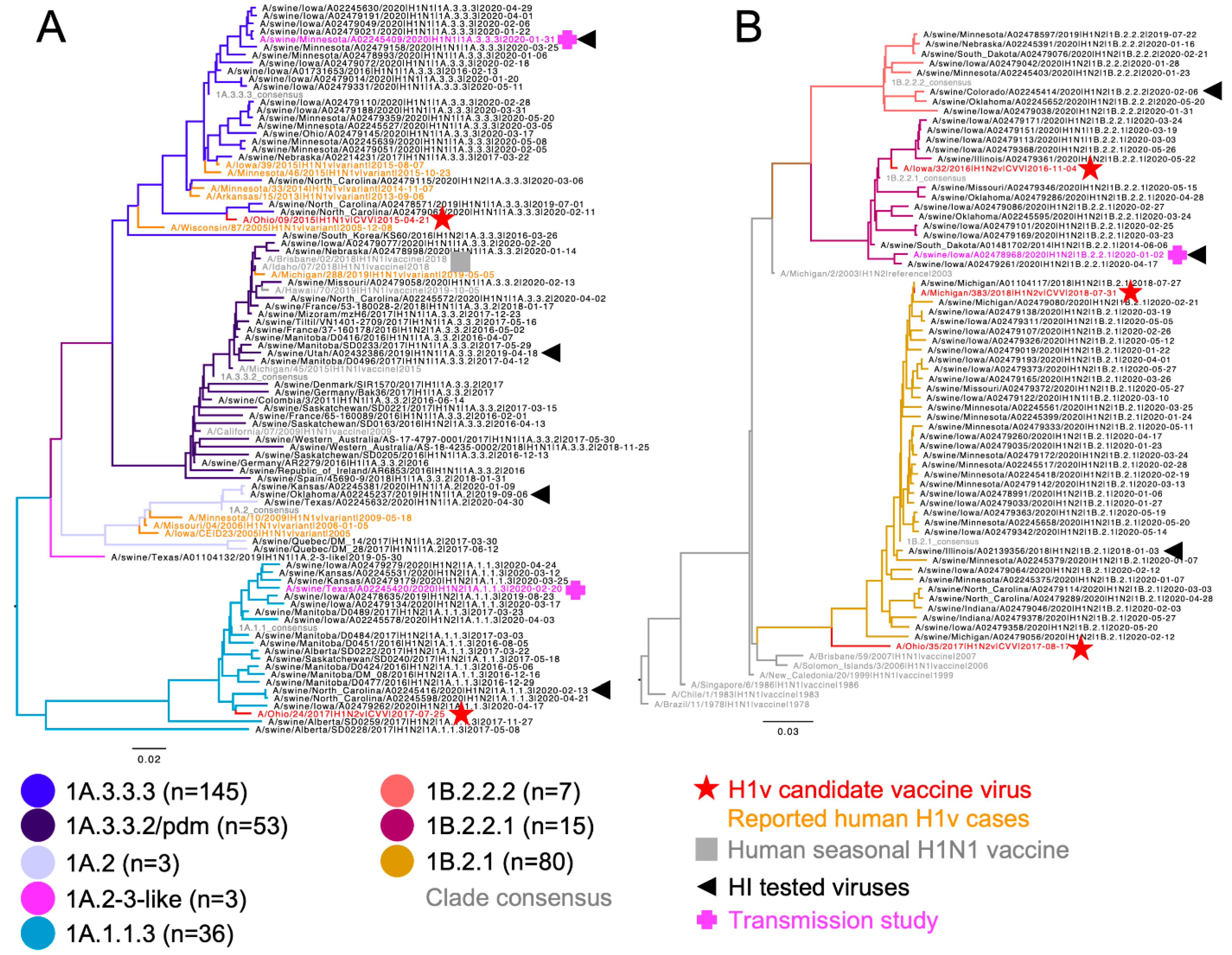 Viruses 14 02398 g001