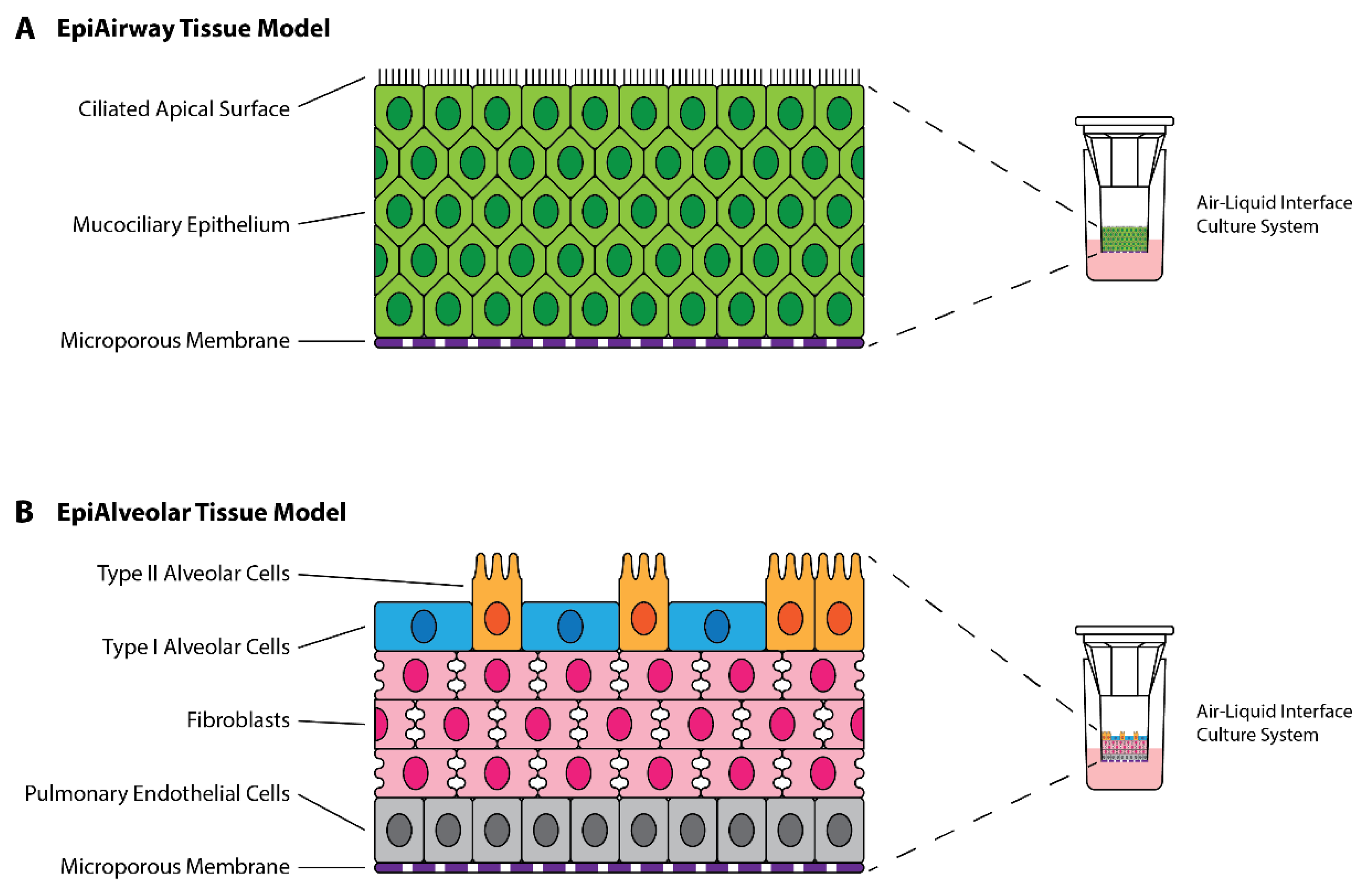 Viruses 14 02417 g001