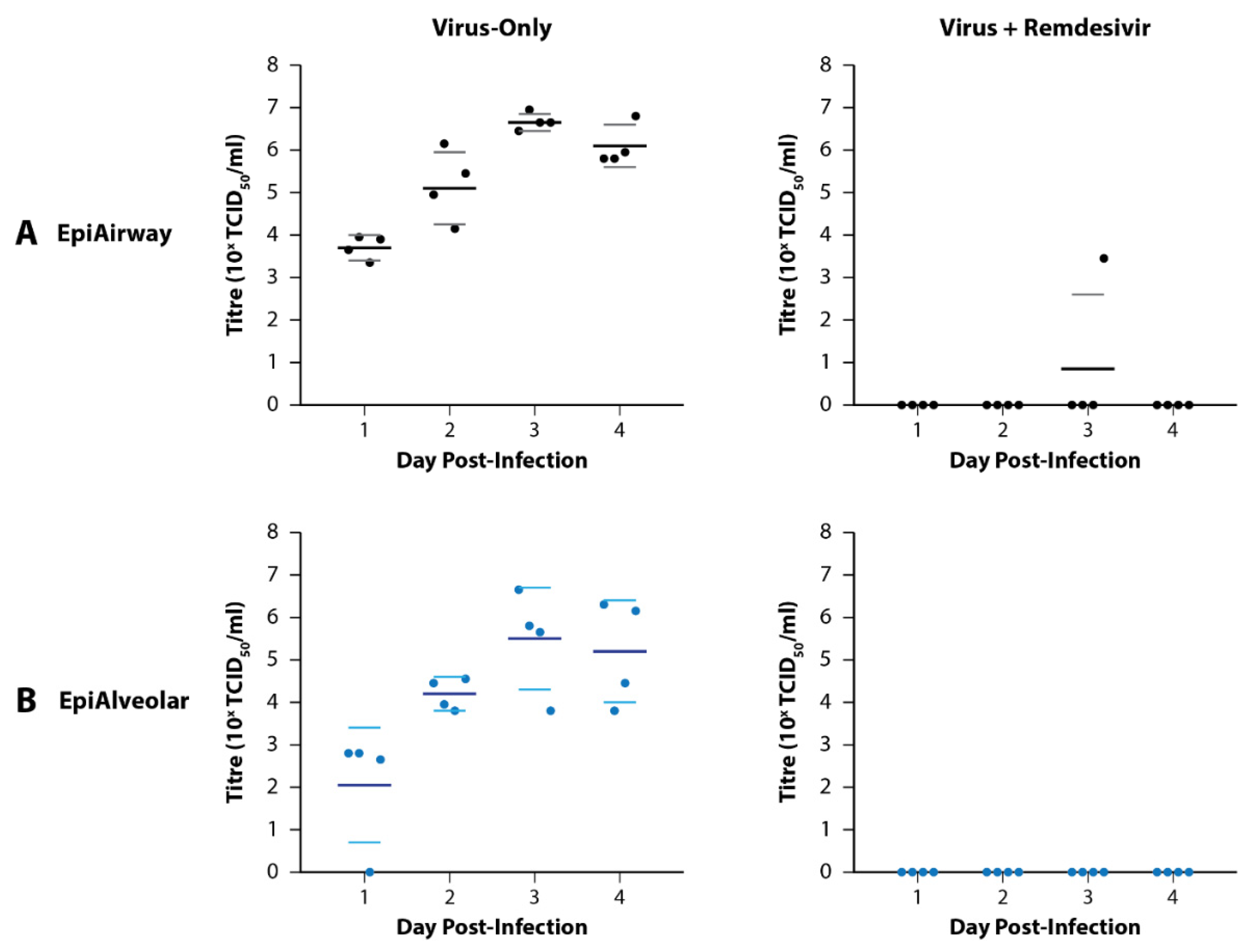 Viruses 14 02417 g002