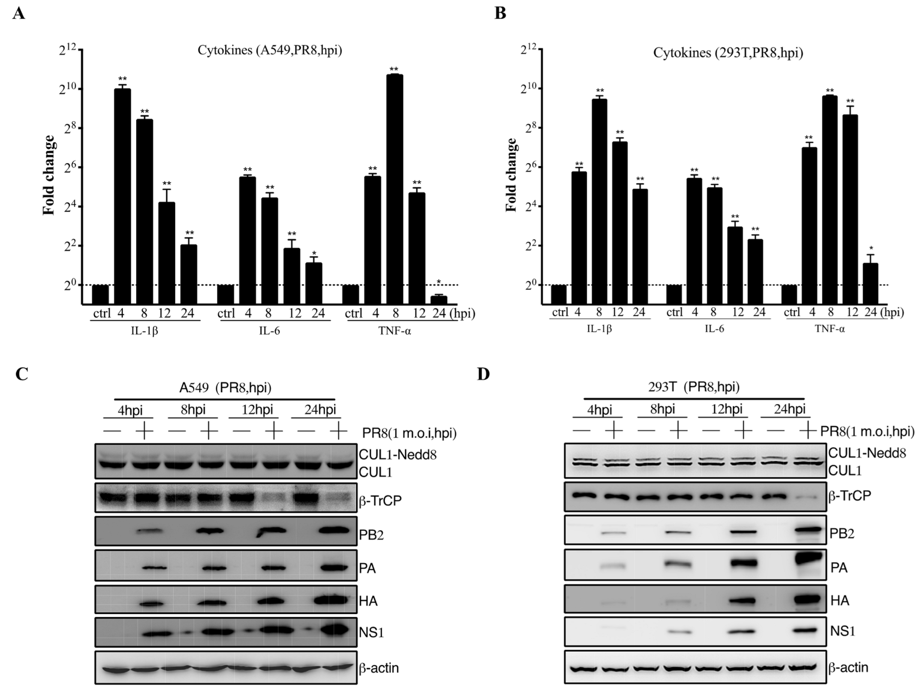 Viruses 14 02426 g001