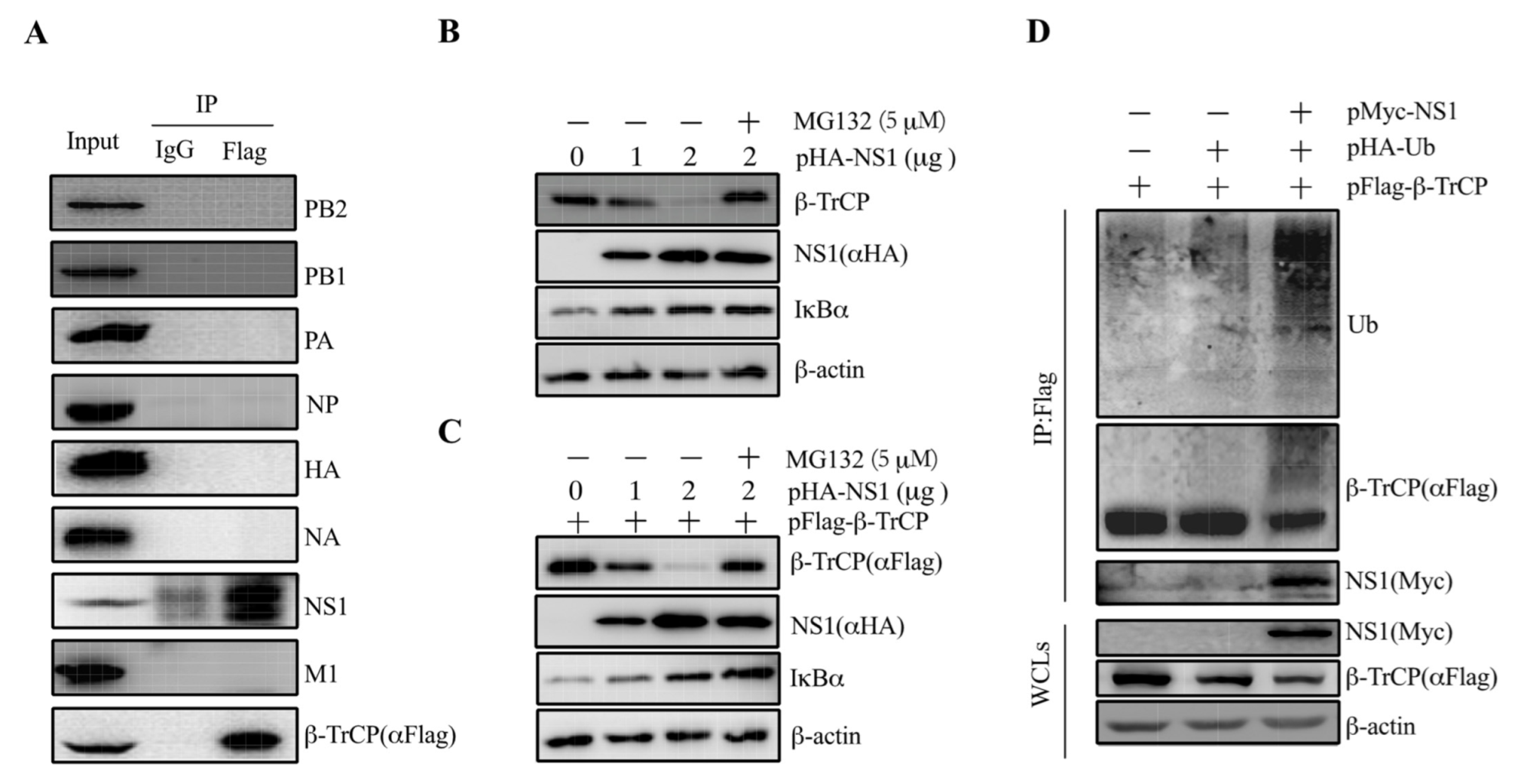 Viruses 14 02426 g003