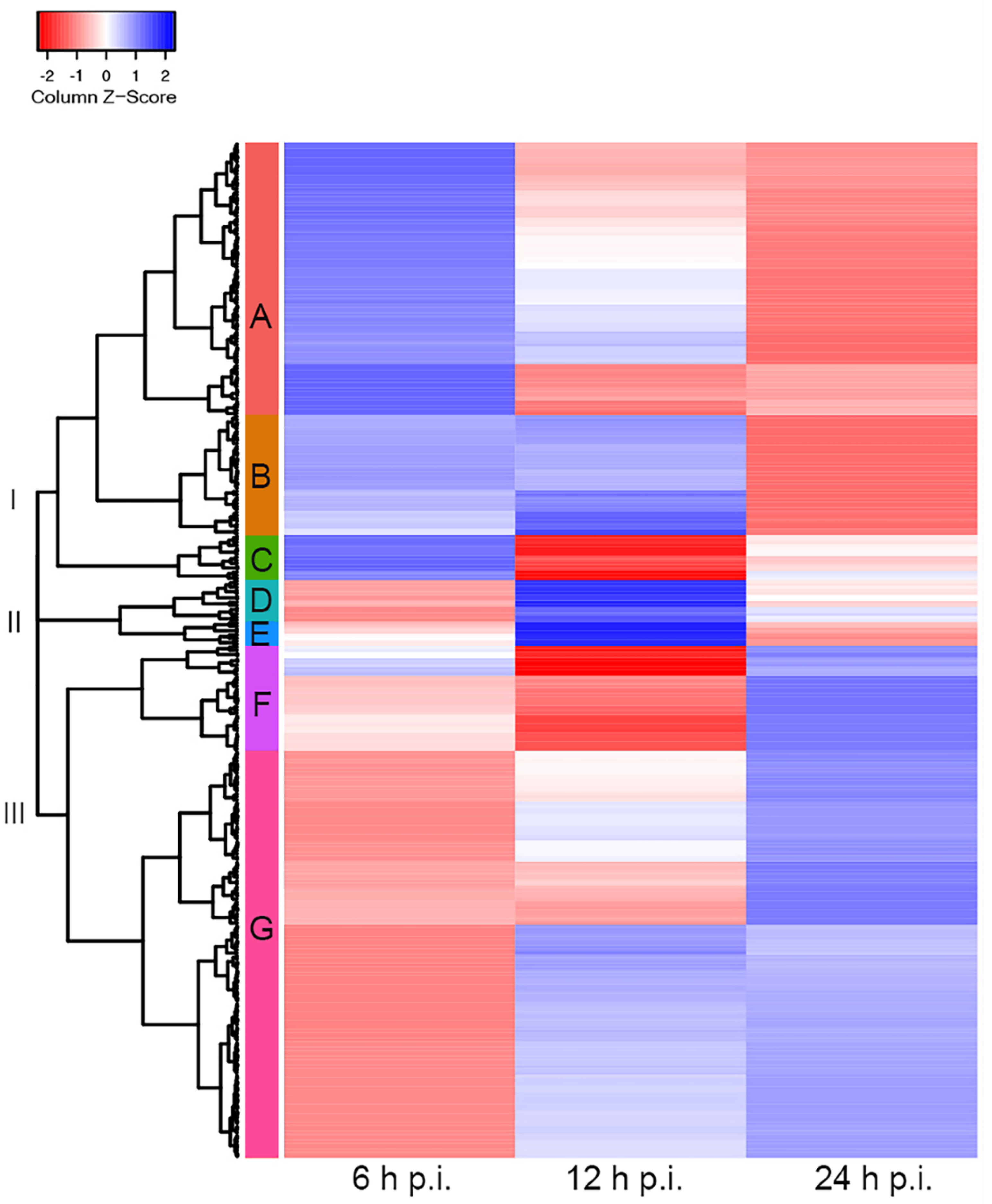 Viruses 14 02428 g003