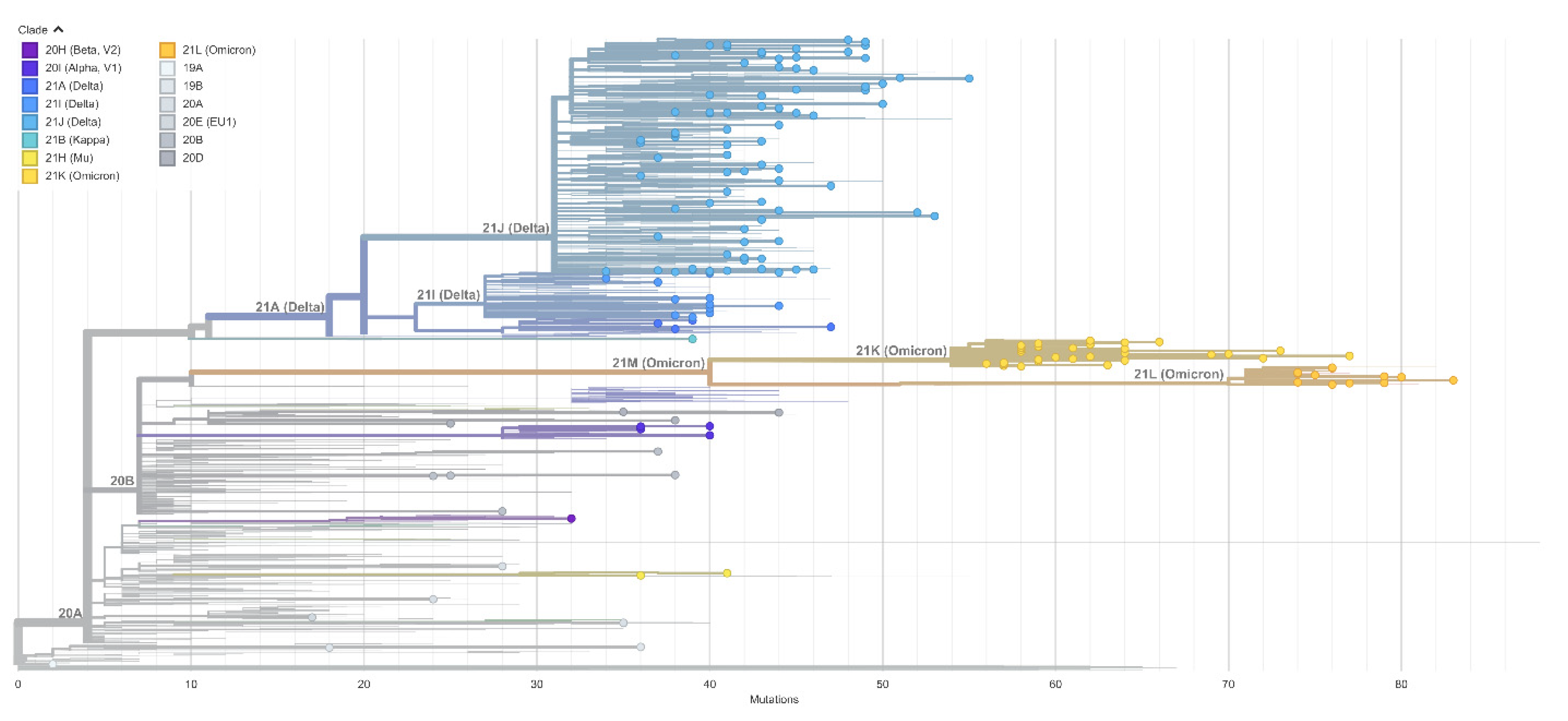 Viruses 14 02432 g003