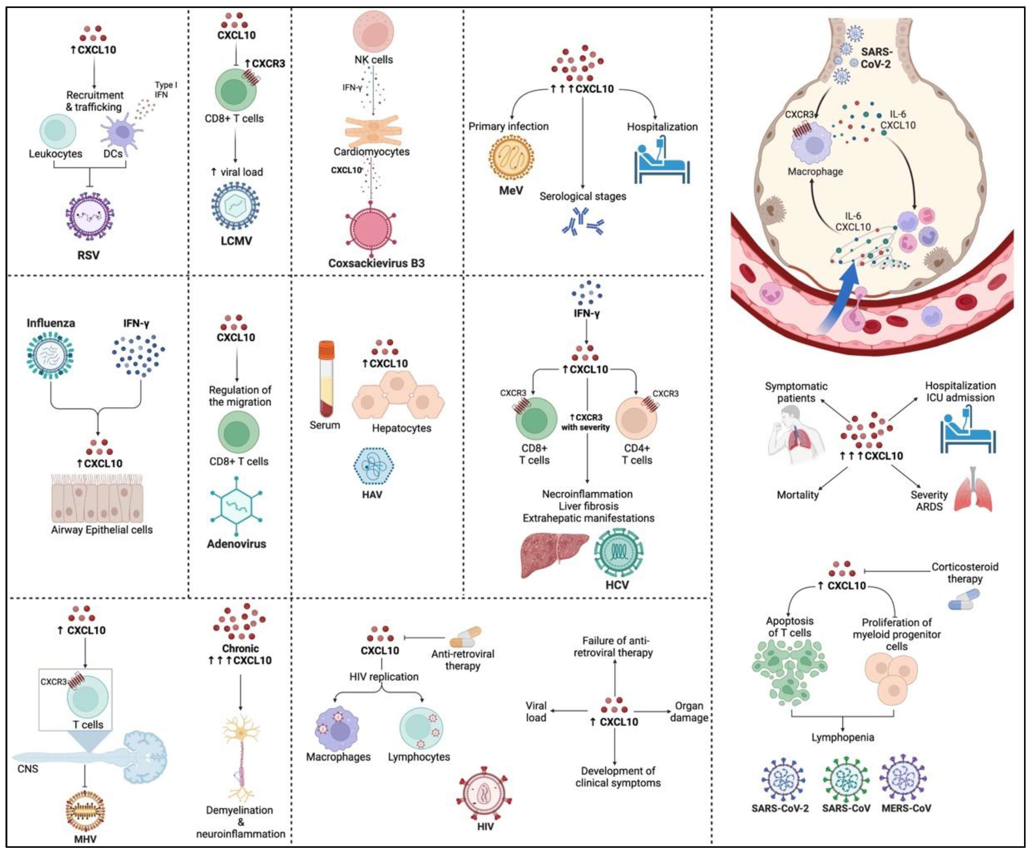 Viruses 14 02445 g001
