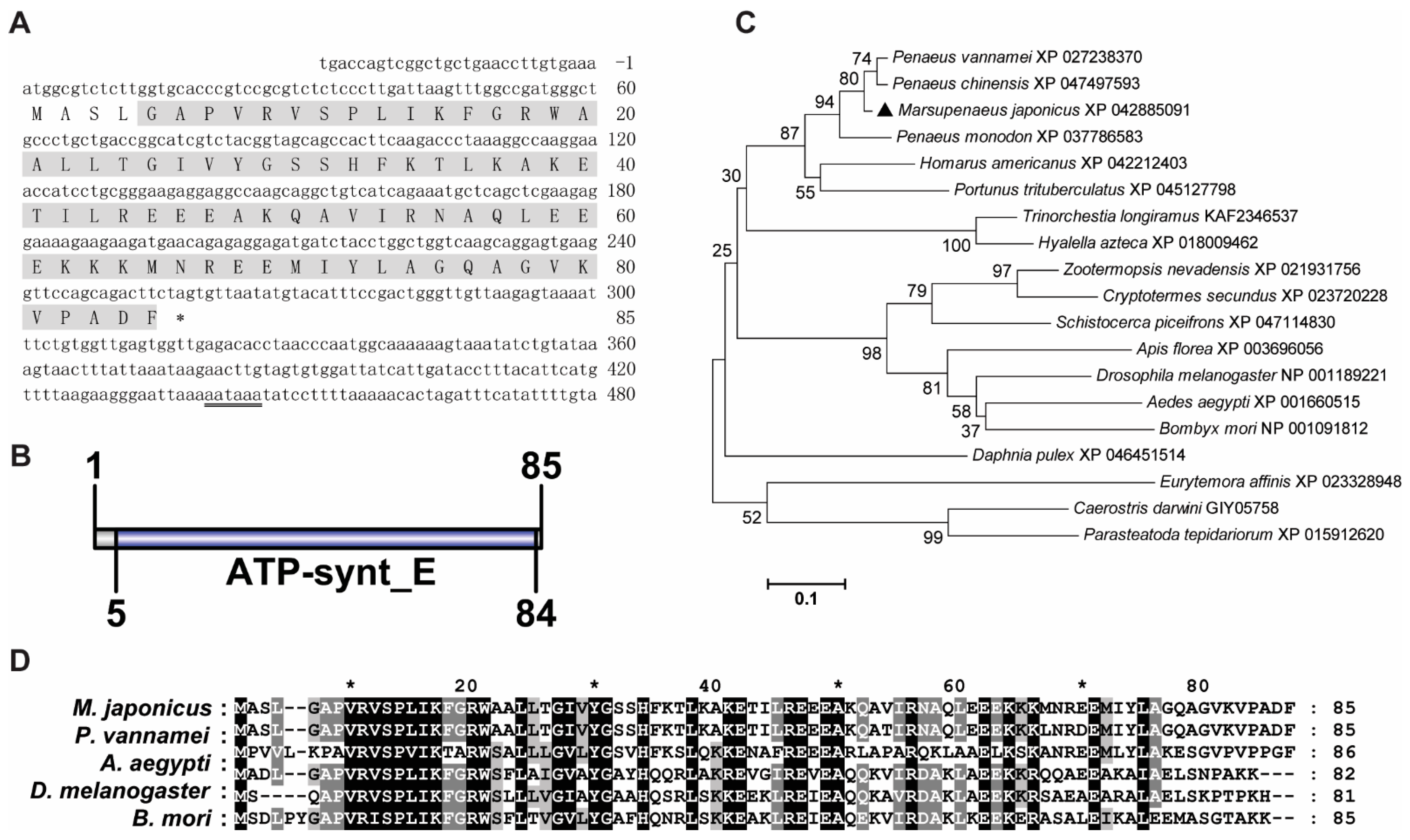 Viruses 14 02449 g001 Viruses 14 02449 g001