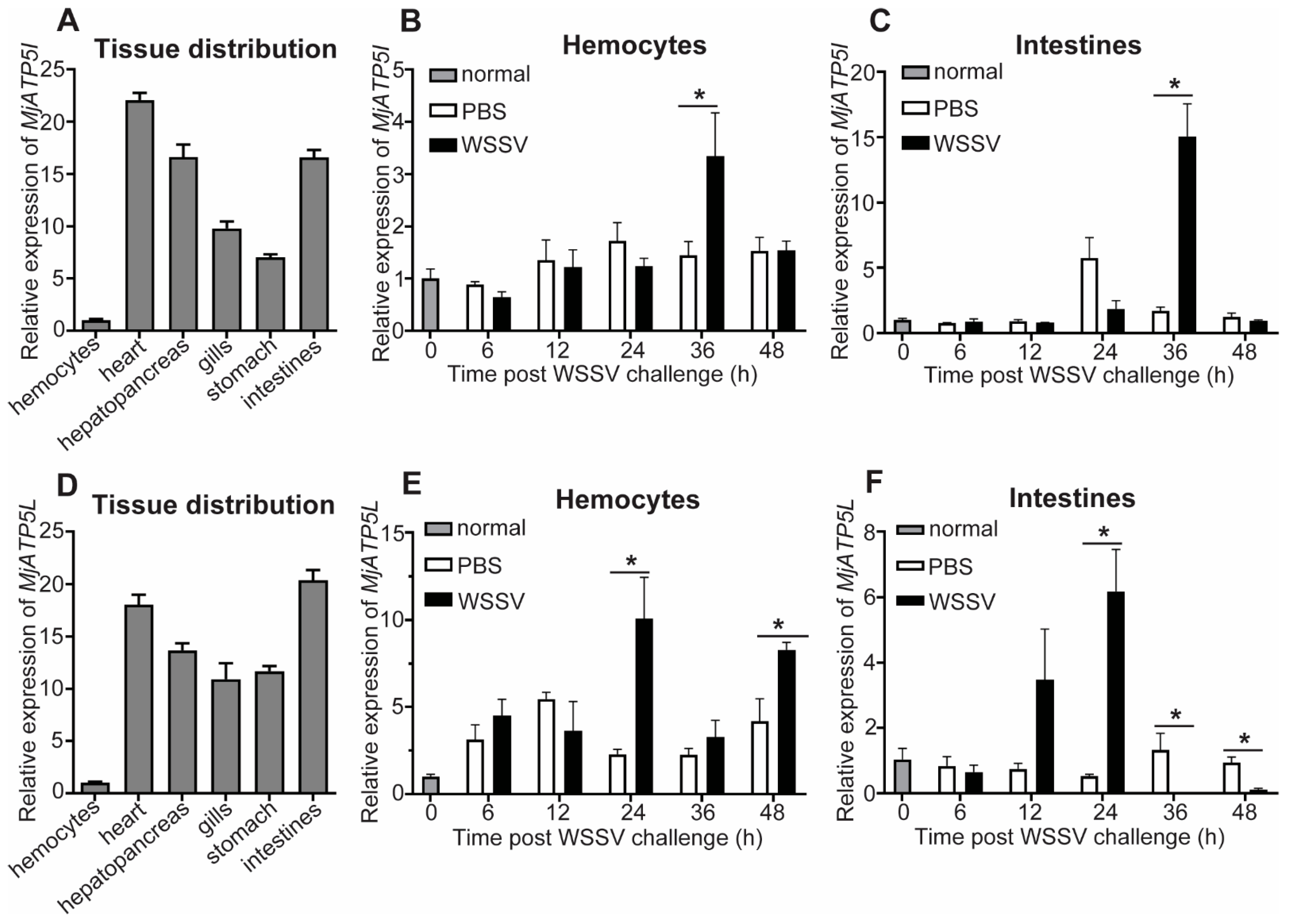 Viruses 14 02449 g003 Viruses 14 02449 g003